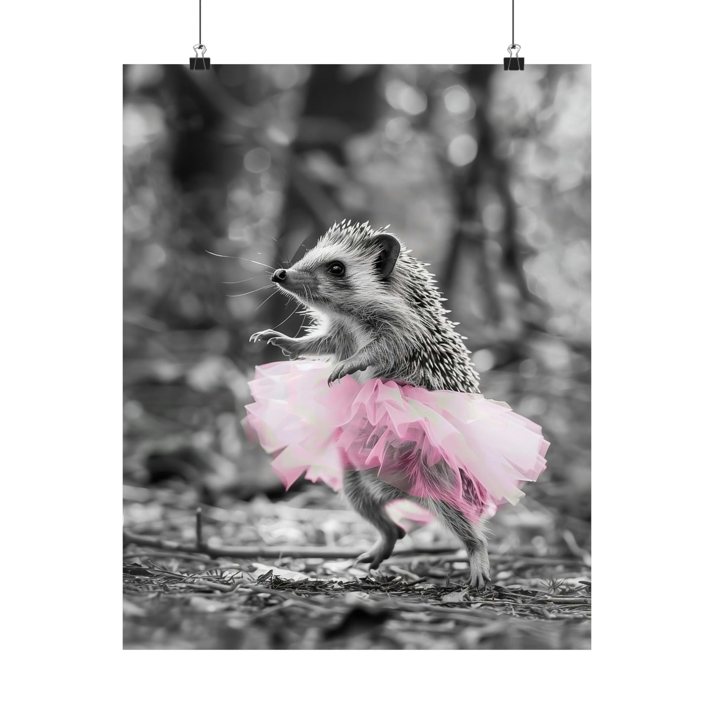 Hedgehock Tutu, Hedgehock Wall Art