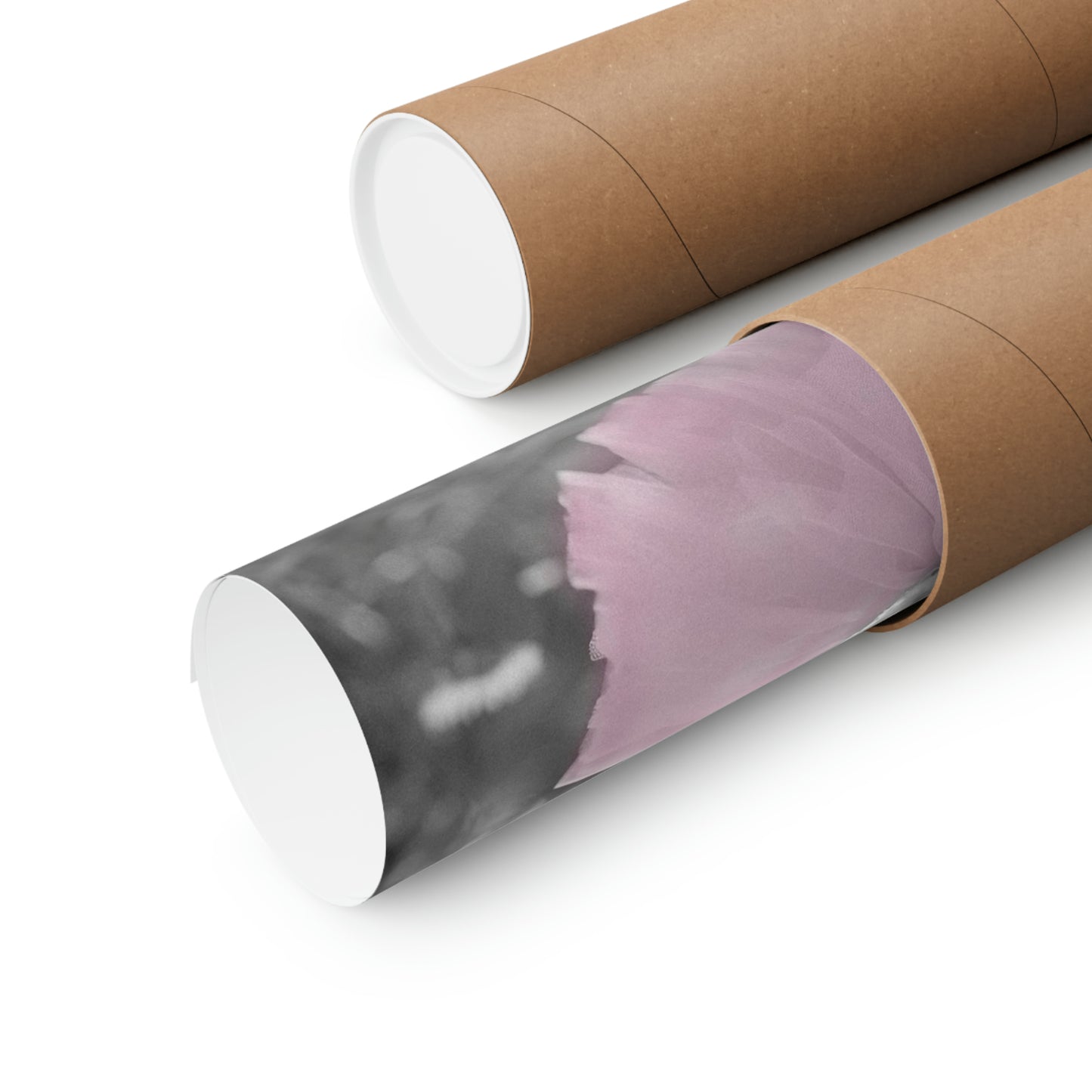 Bichon Frise Tutu, Bichon Frise Wall Art