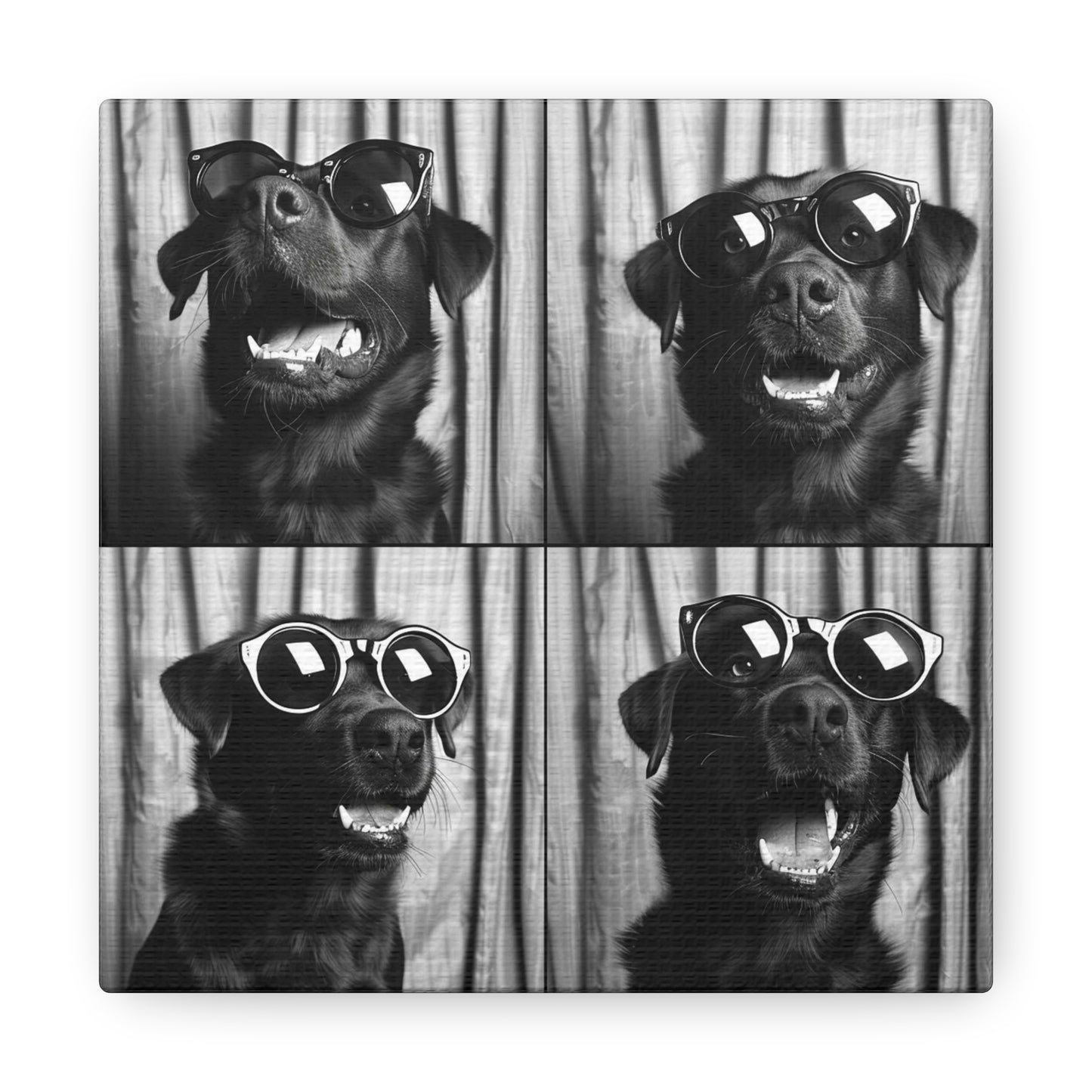 Labrador Retriever Photo Booth Canvas