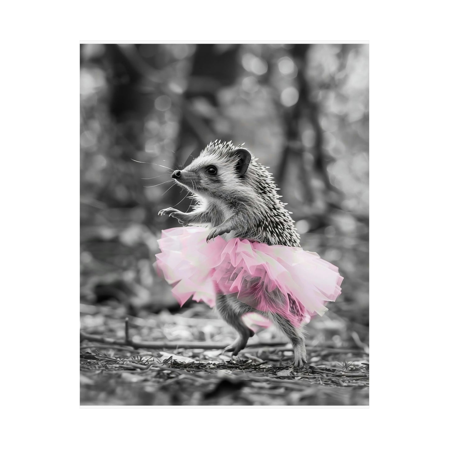 Hedgehock Tutu, Hedgehock Wall Art