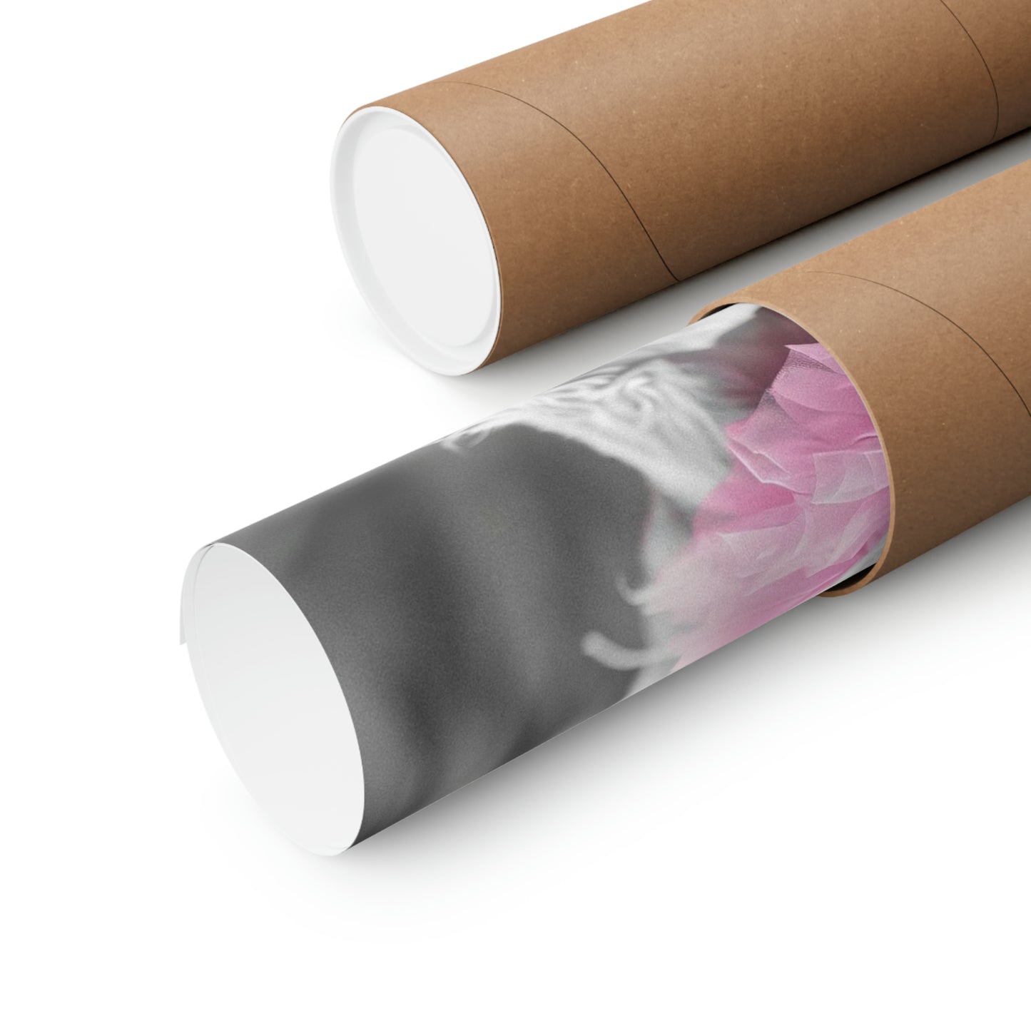 Shih Tzu Tutu, Shih Tzu Wall Art