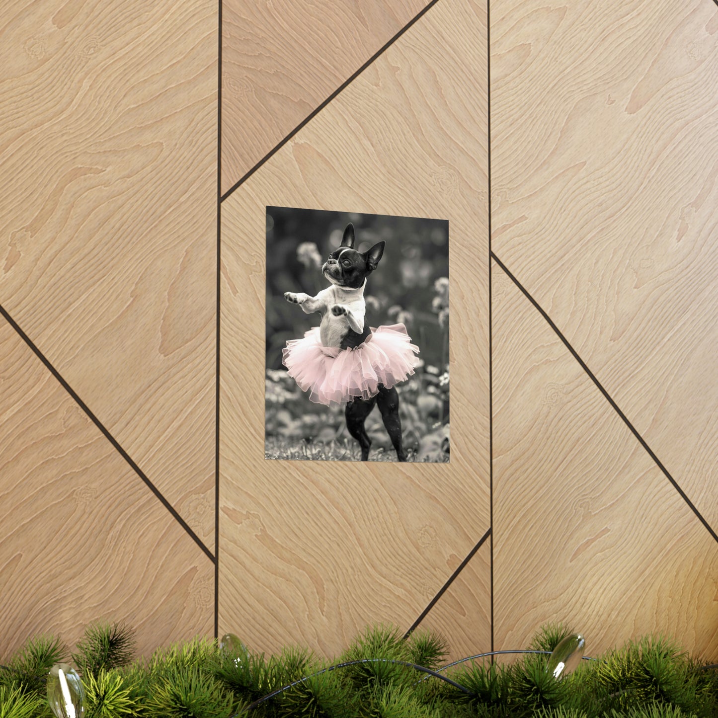Boston Terrier Tutu, Boston Terrier Wall Art