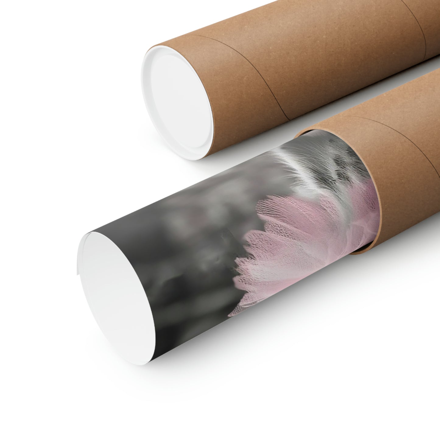 Chipmunk Tutu, Chipmunk Wall Art