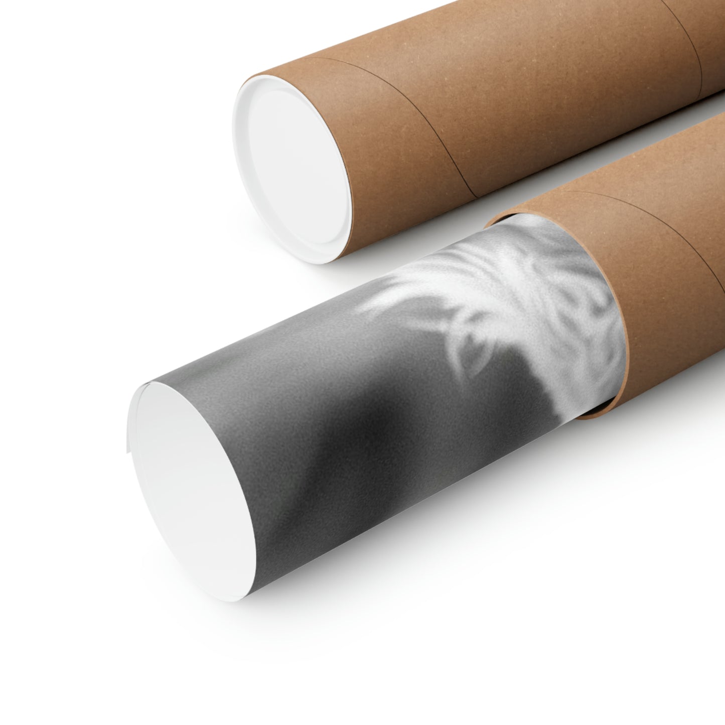 Shih Tzu Tutu, Shih Tzu Wall Art