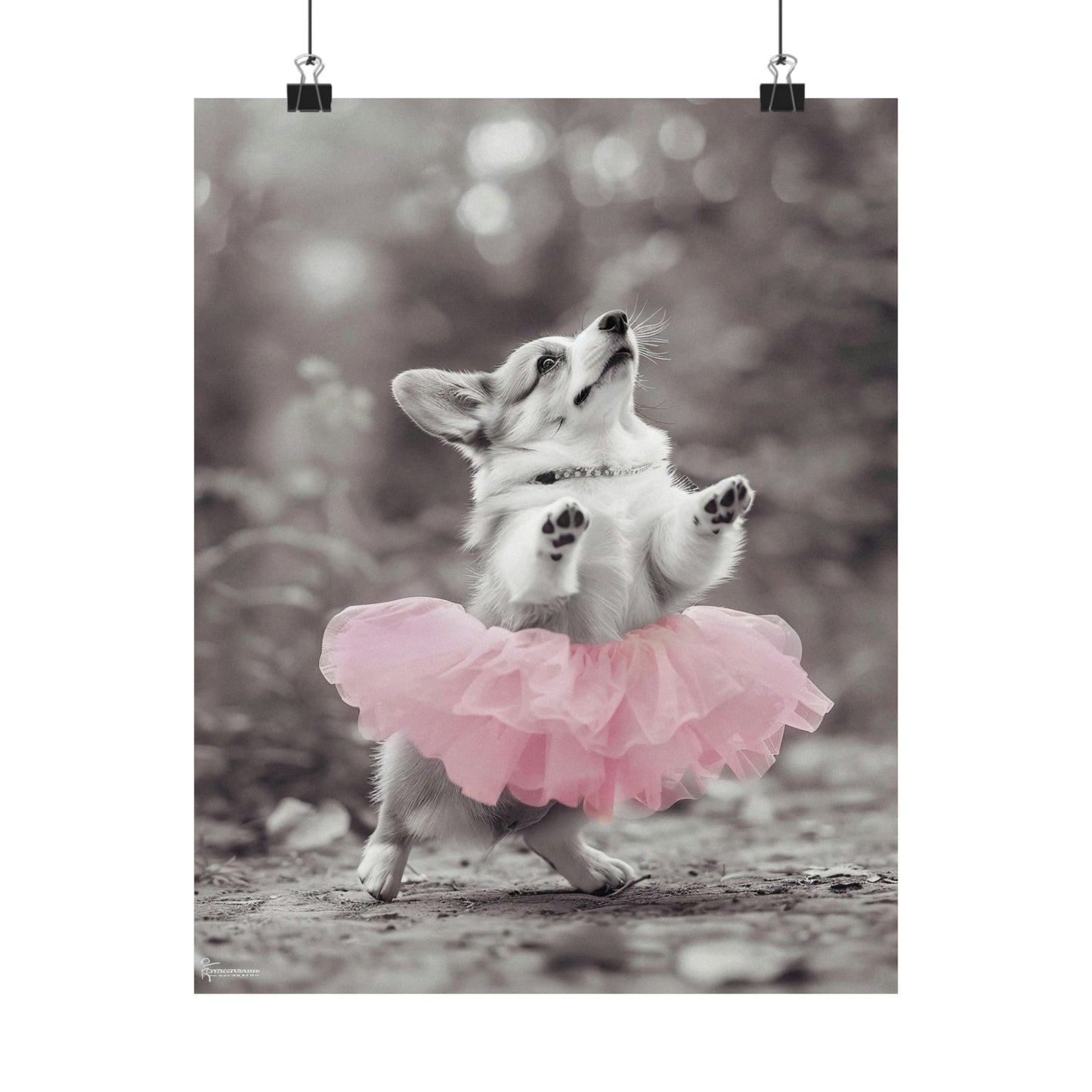 Corgi Tutu, Corgi Wall Art