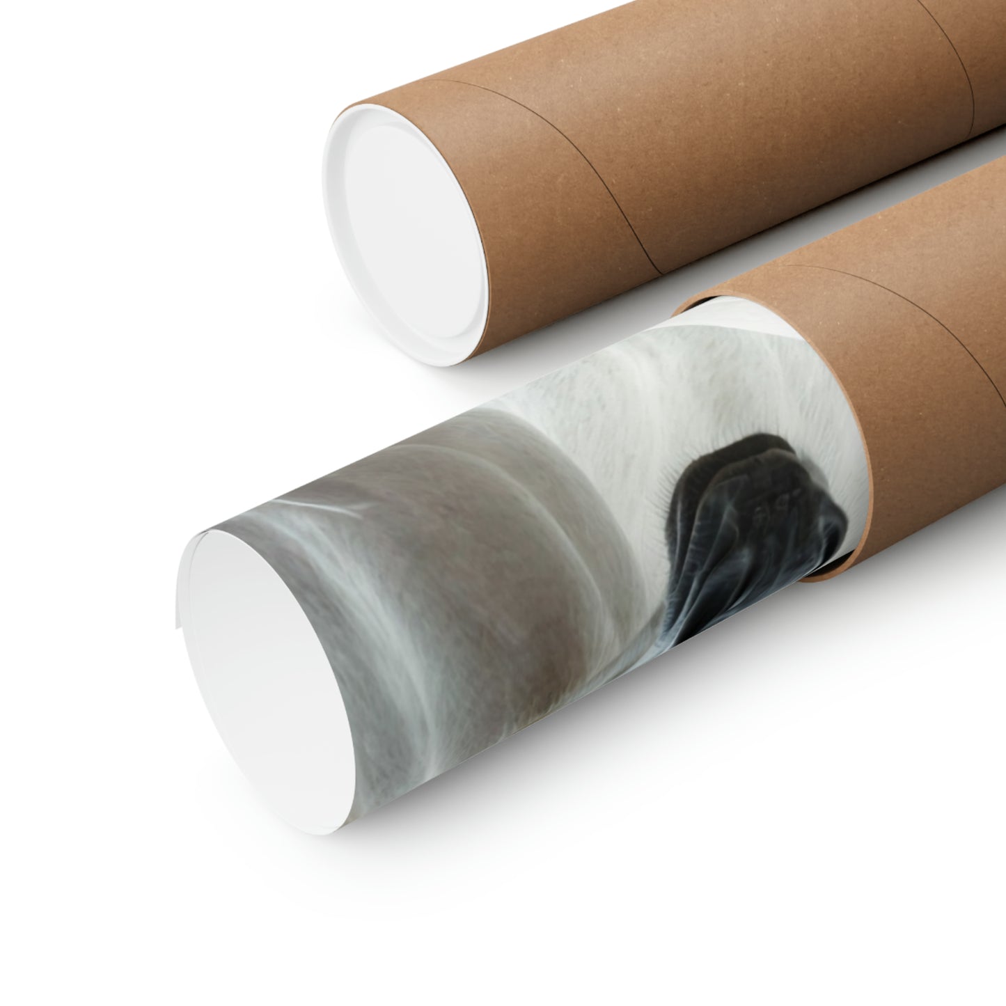 Being Different Black Horse