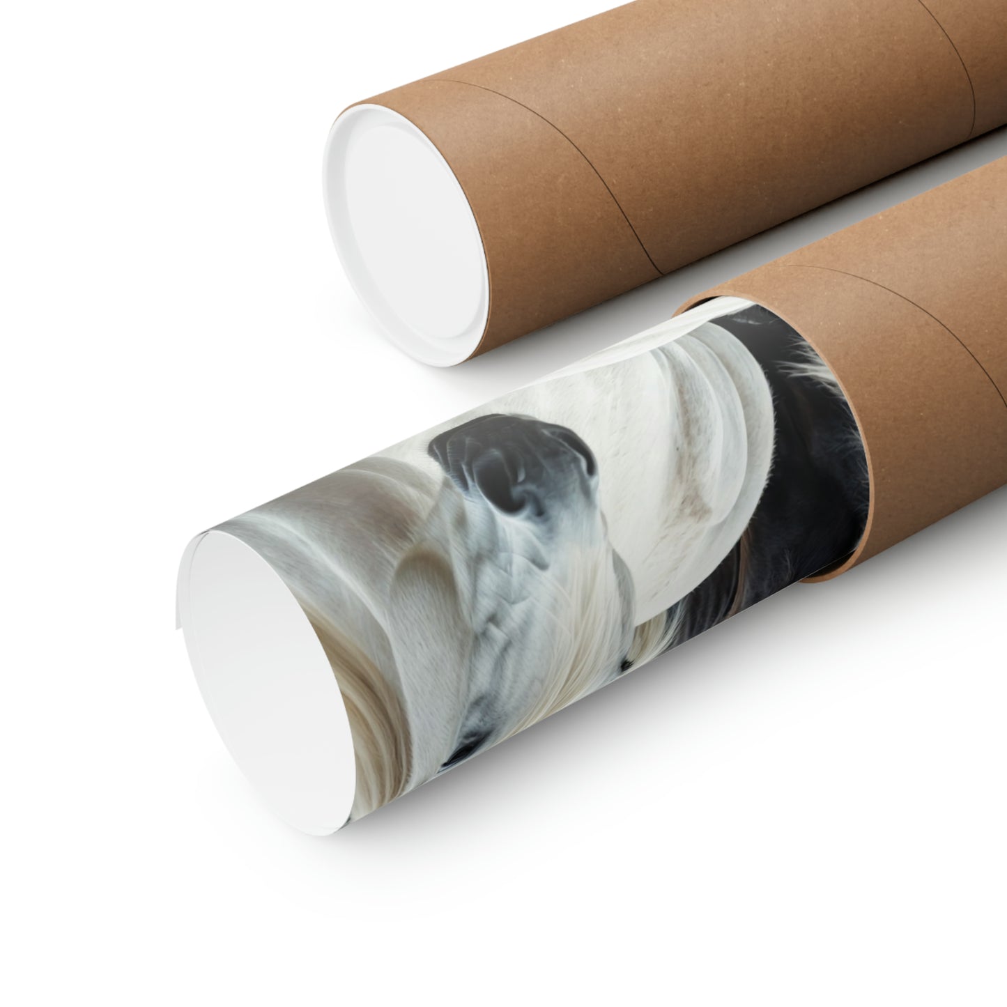 Being Different Black Horse