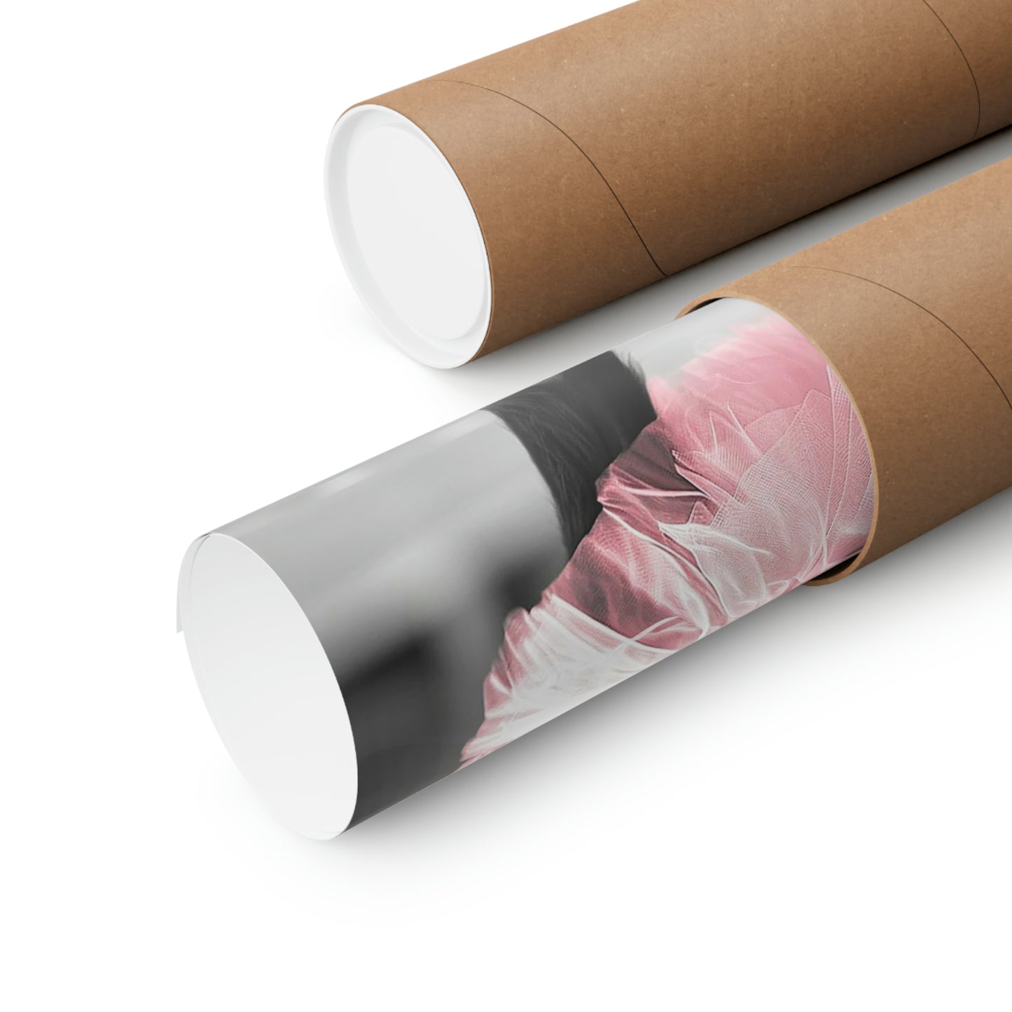 Monkey Tutu, Monkey Wall Art