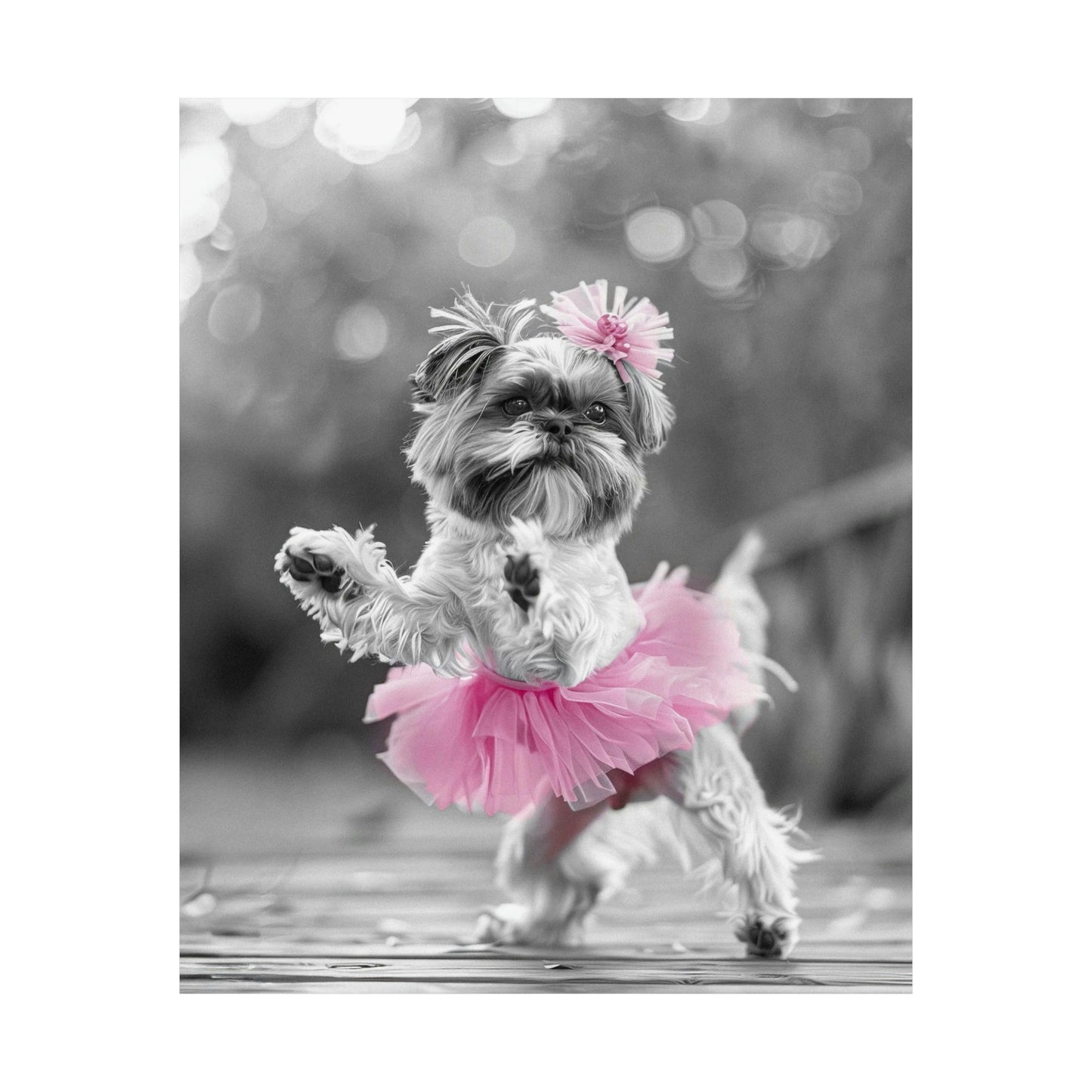 Shih Tzu Tutu, Shih Tzu Wall Art