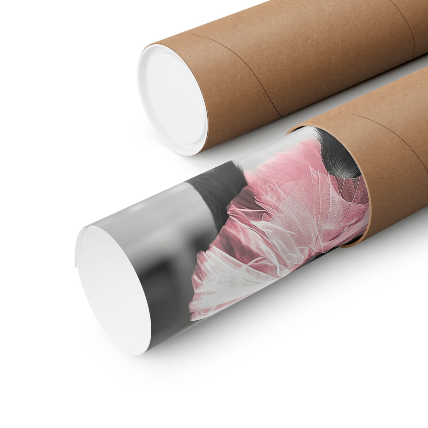 Monkey Tutu, Monkey Wall Art