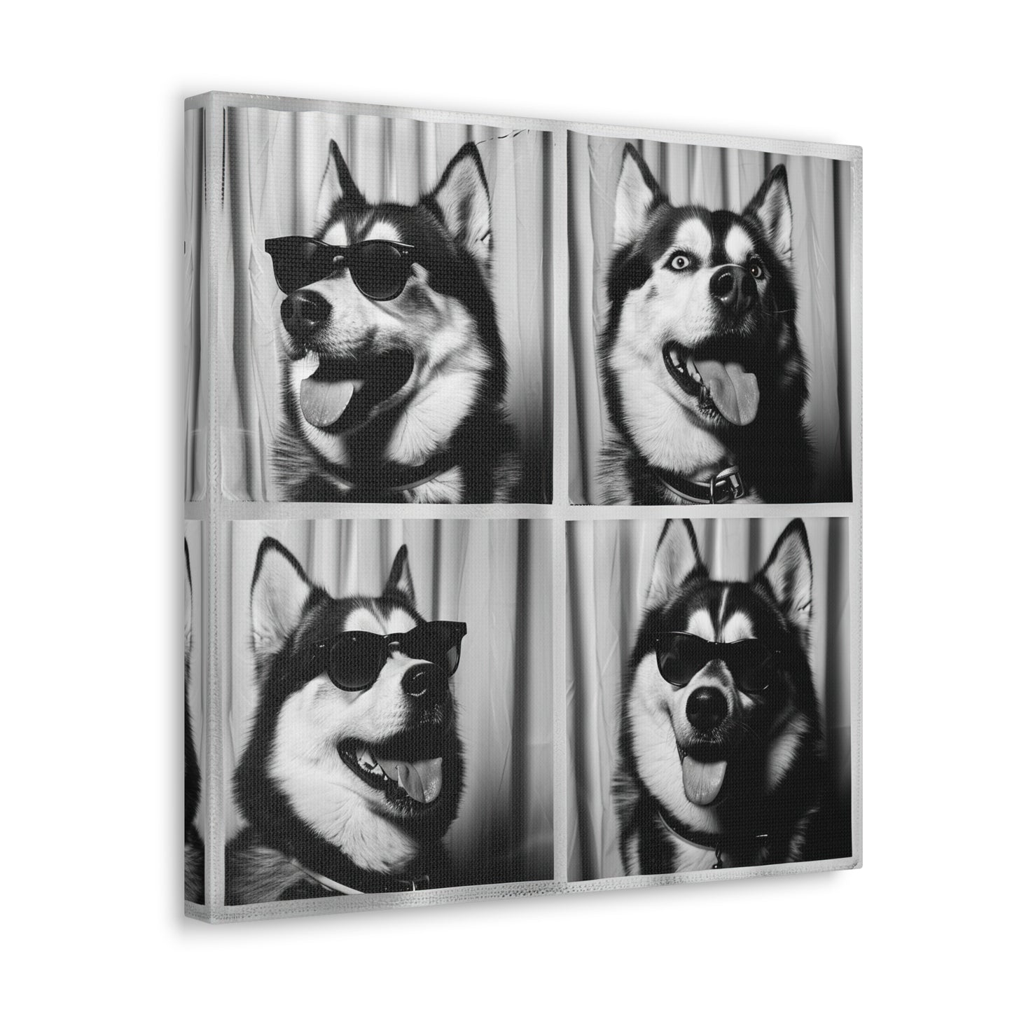 Husky Photo Booth Canvas