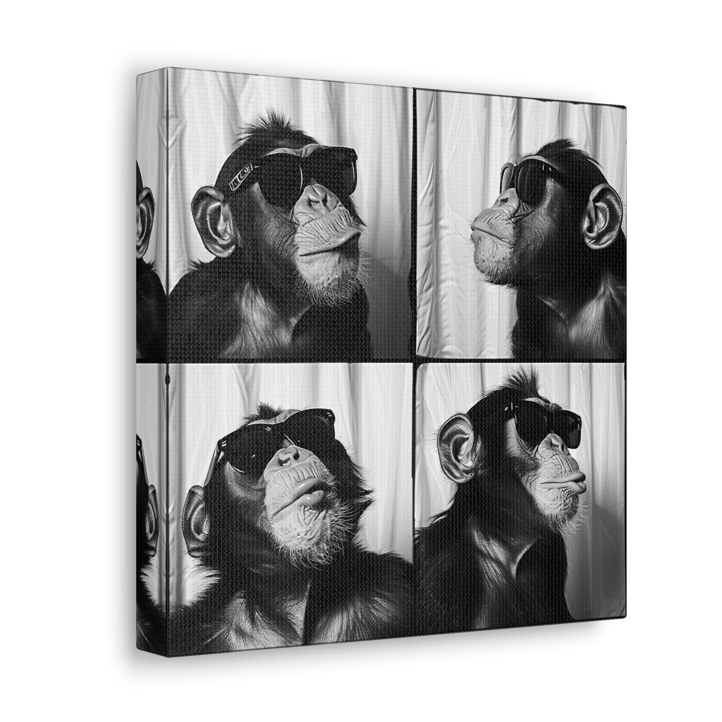 Monkey Photo Booth Canvas