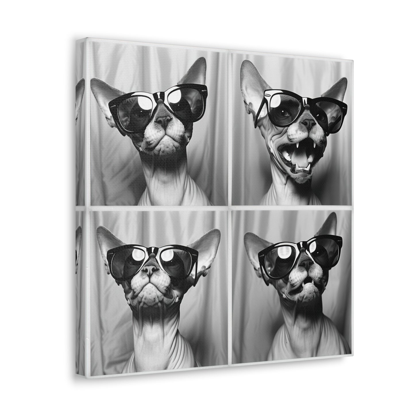 Sphynx Cat Photo Booth Canvas