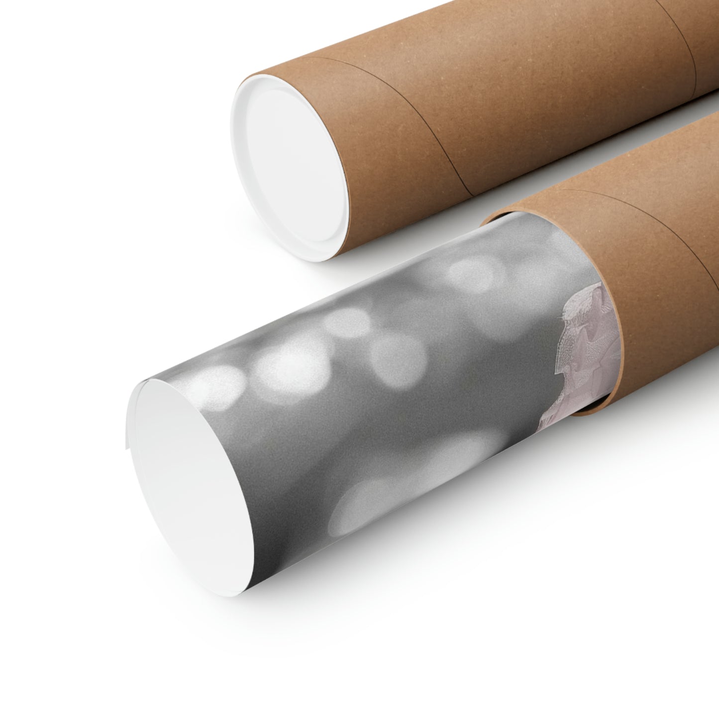 Chihuahua Tutu, Chihuahua Wall Art