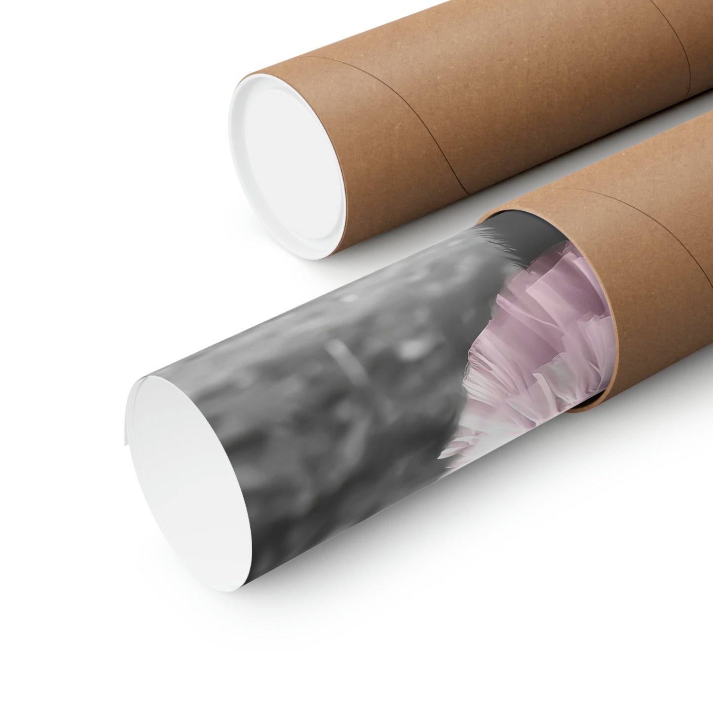 Bear Tutu, Bear Wall Art