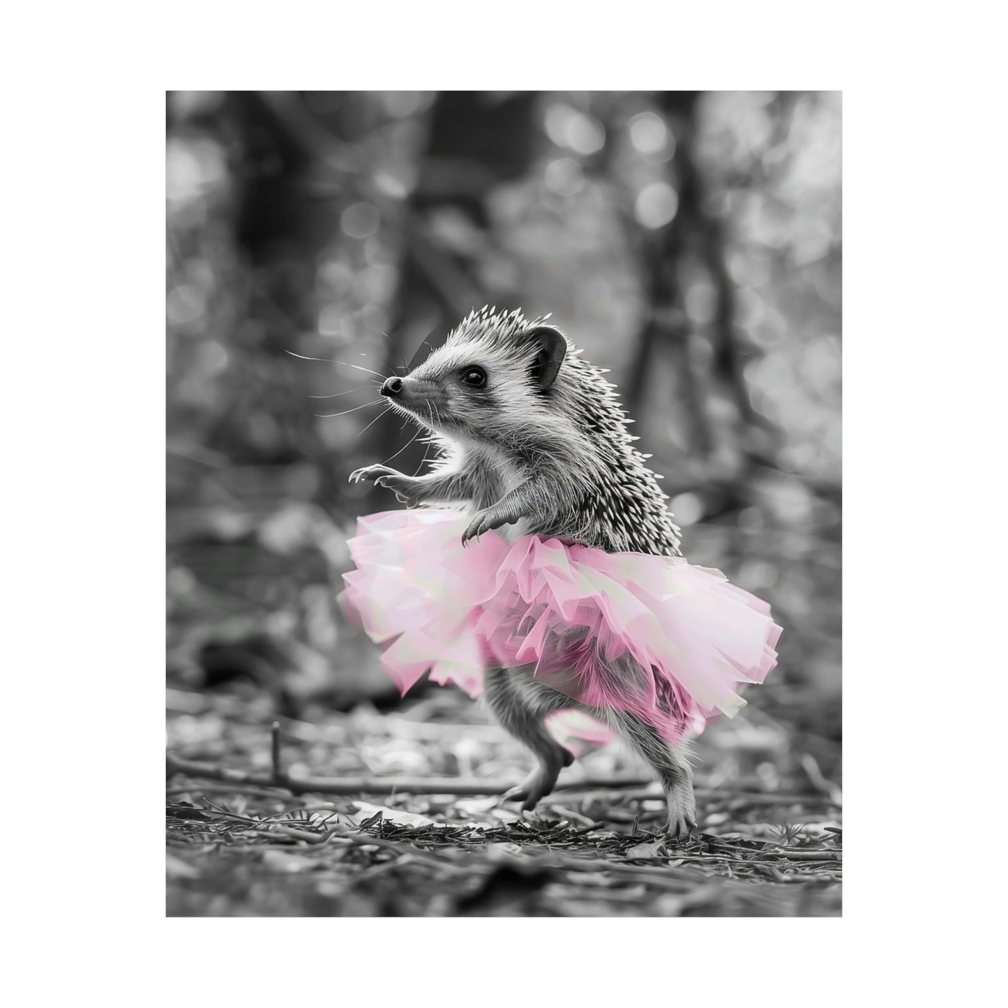 Hedgehock Tutu, Hedgehock Wall Art