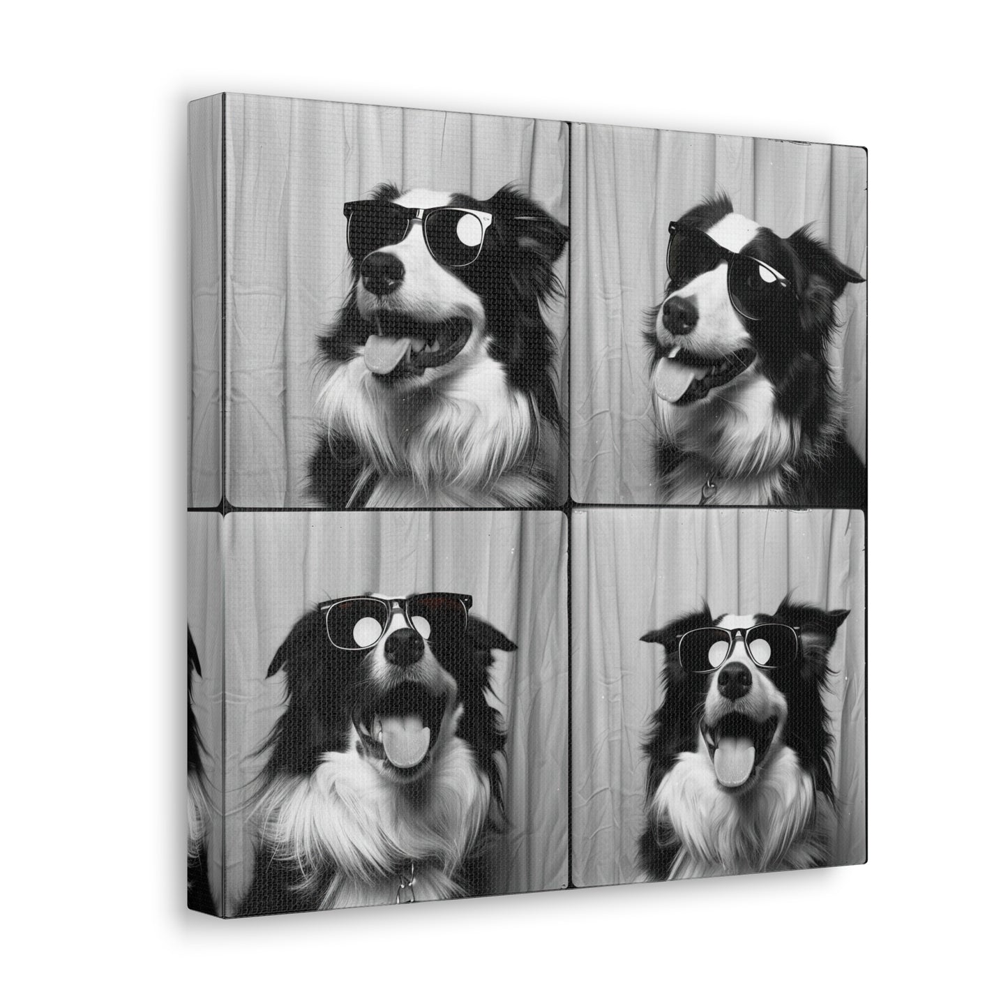 Border Collie Photo Booth Canvas