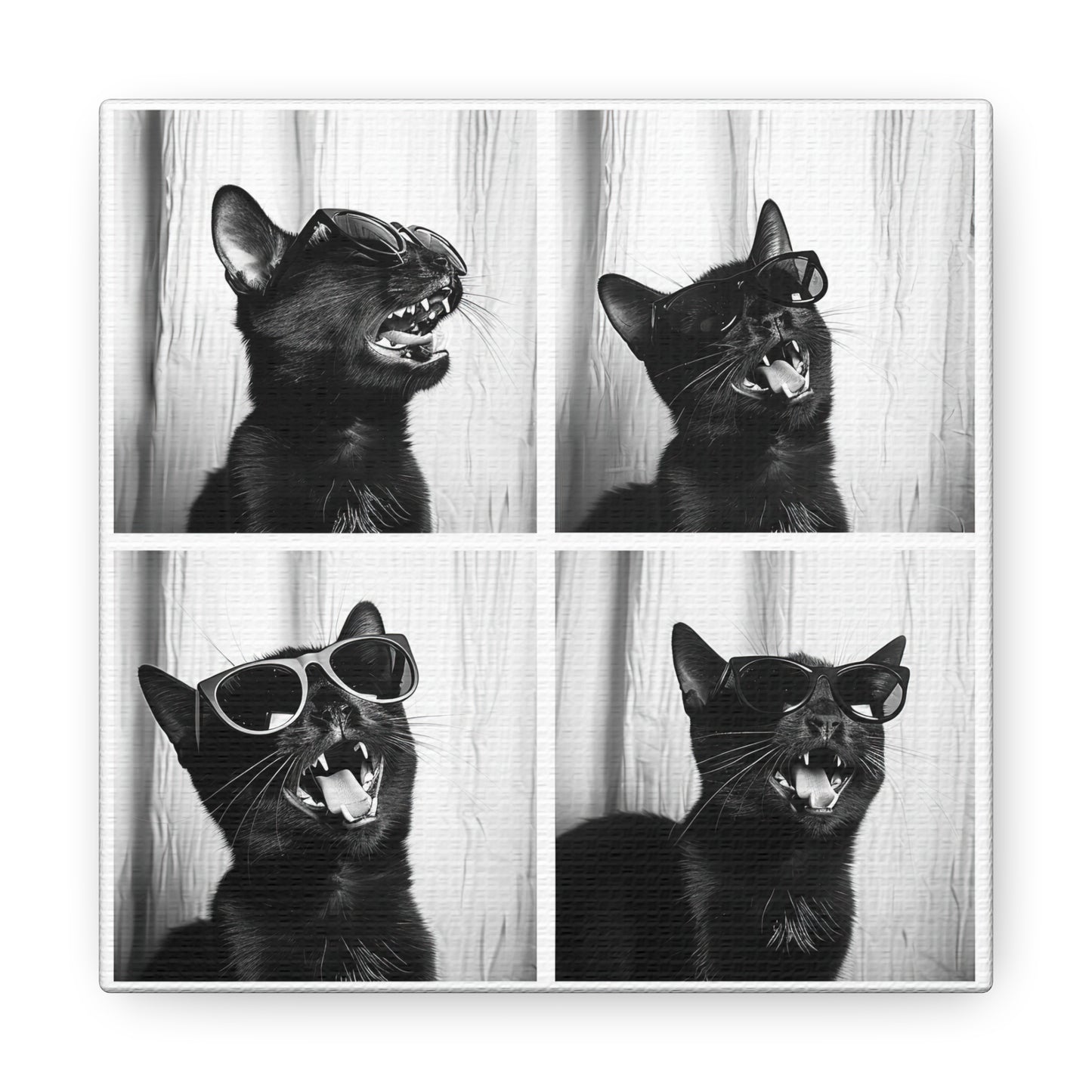 Black Cat Photo Booth Canvas