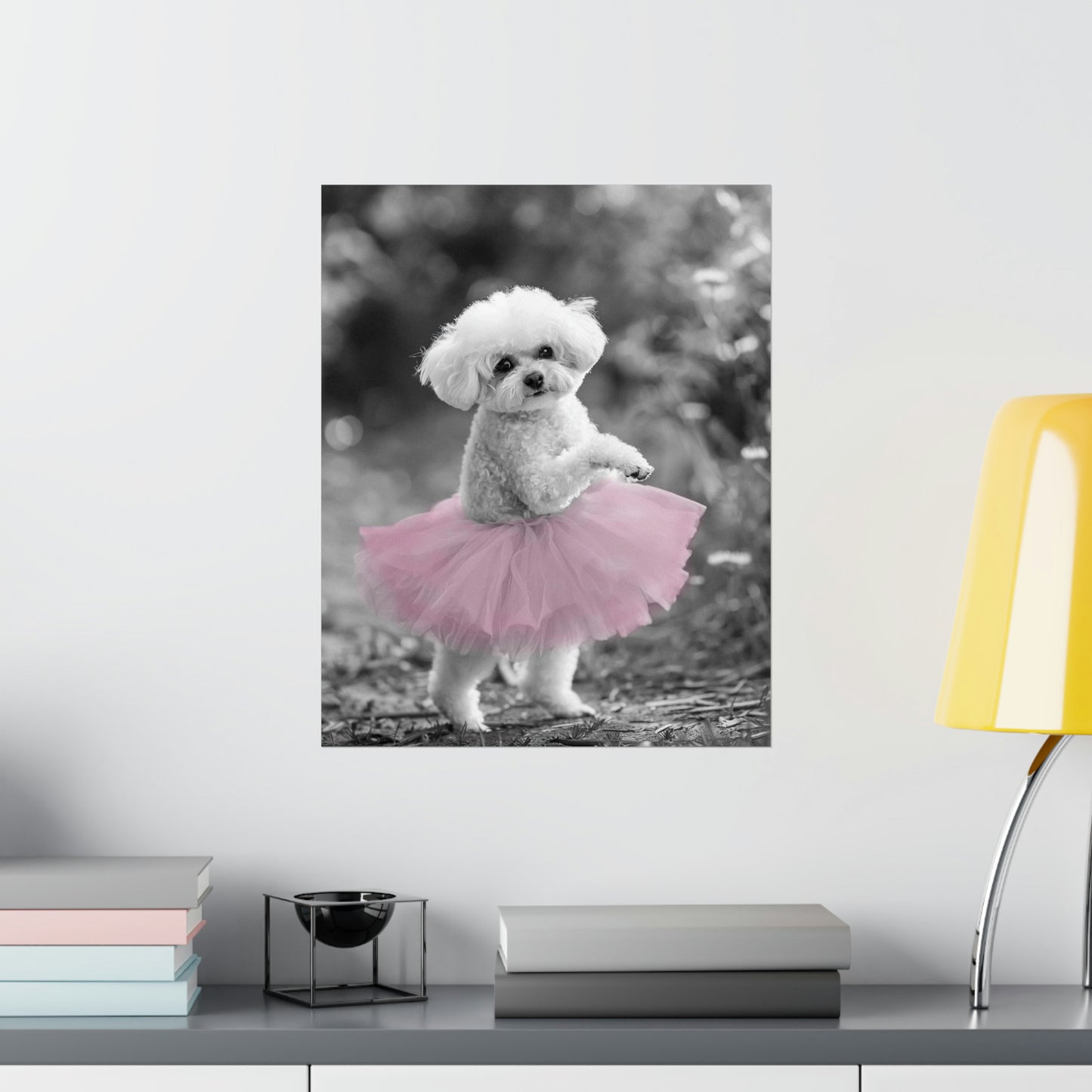 Bichon Frise Tutu, Bichon Frise Wall Art