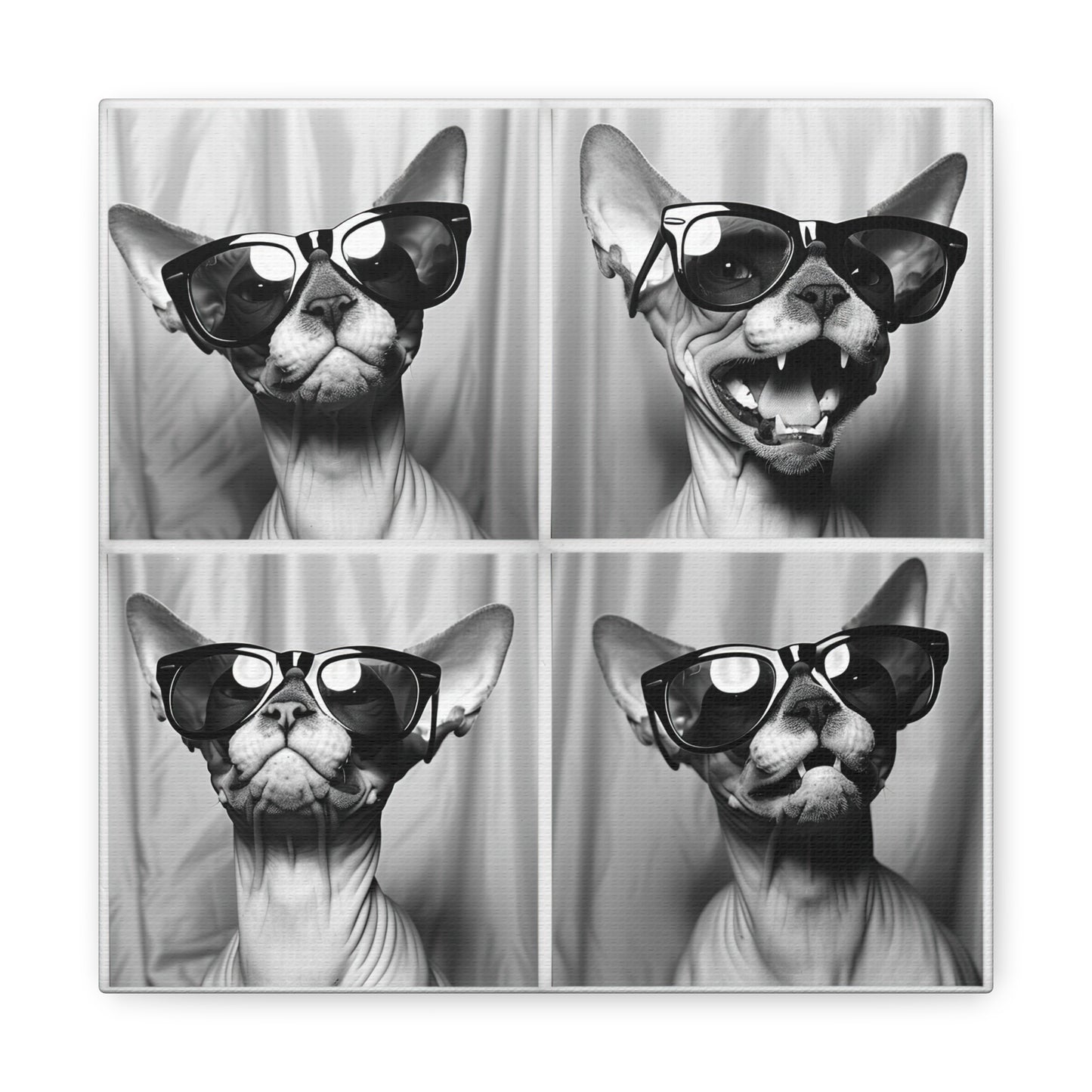 Sphynx Cat Photo Booth Canvas