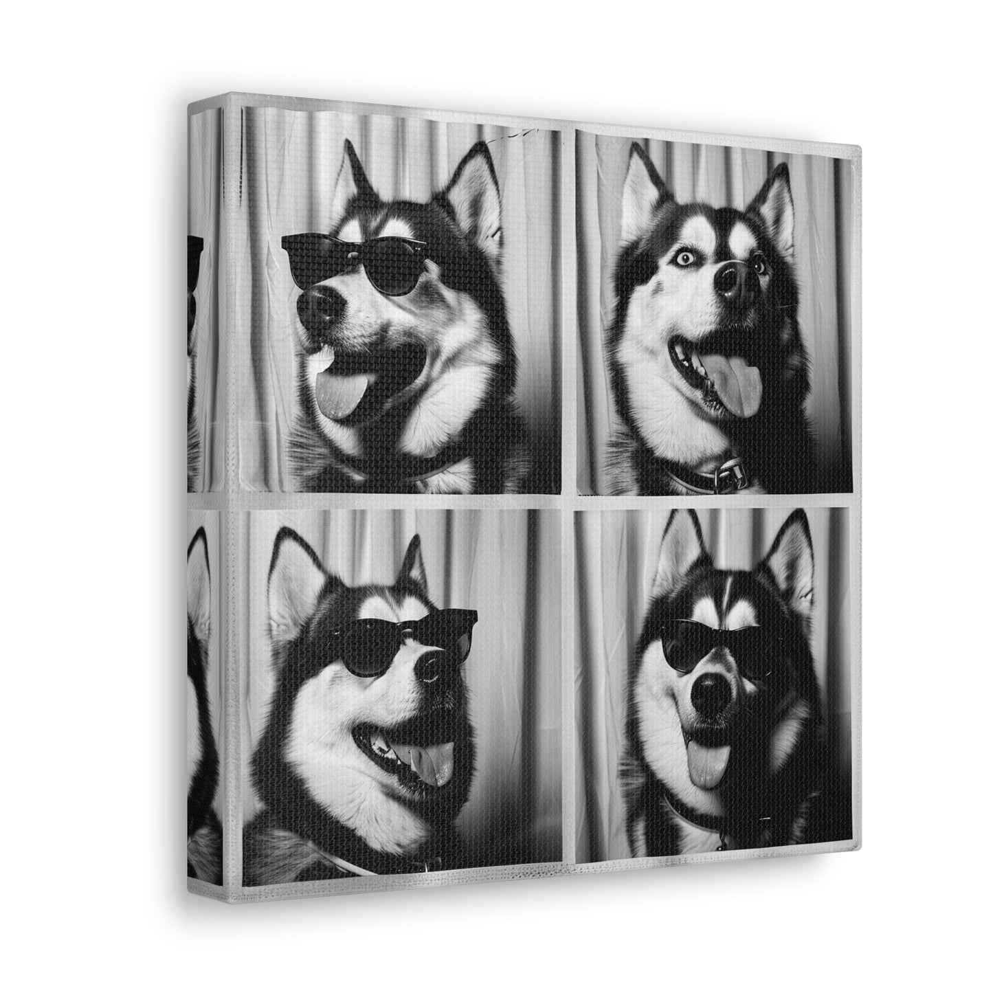 Husky Photo Booth Canvas