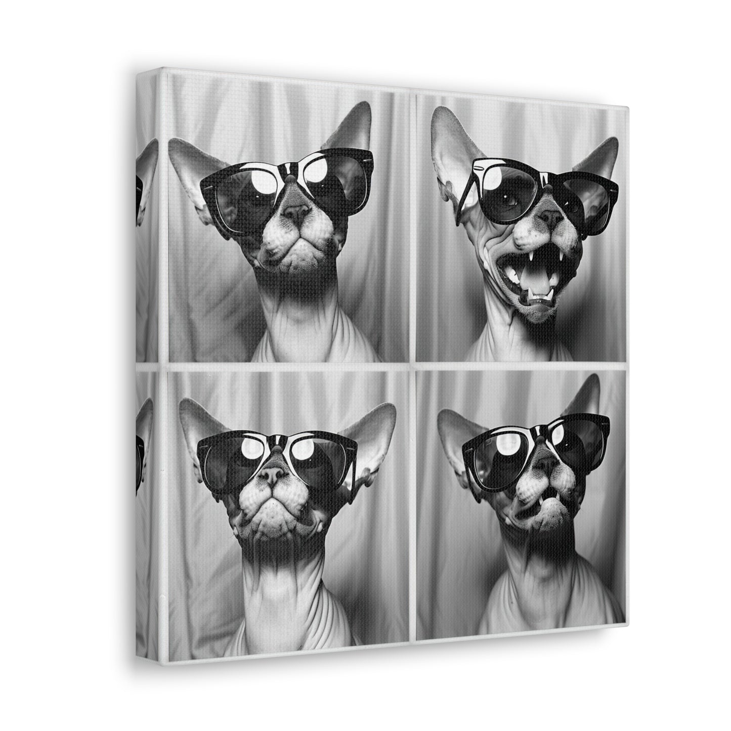 Sphynx Cat Photo Booth Canvas
