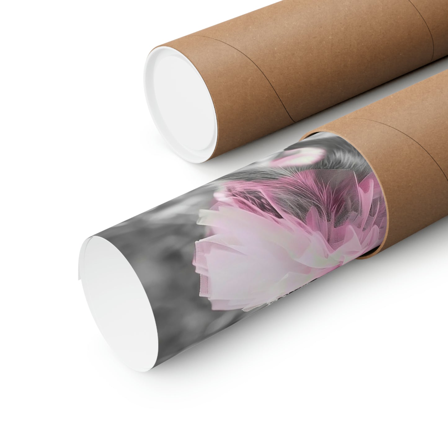 Hedgehock Tutu, Hedgehock Wall Art