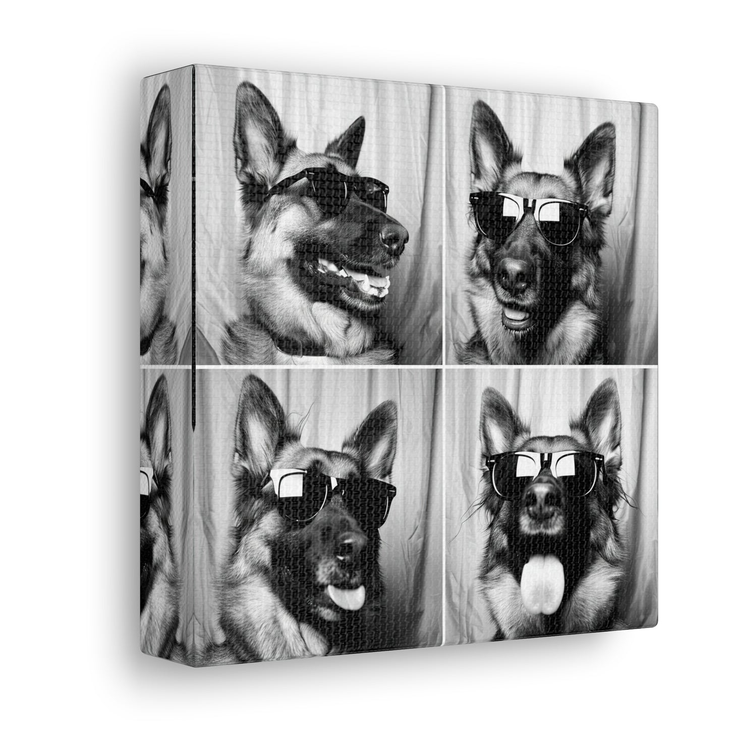 German Shephard Photo Booth Canvas