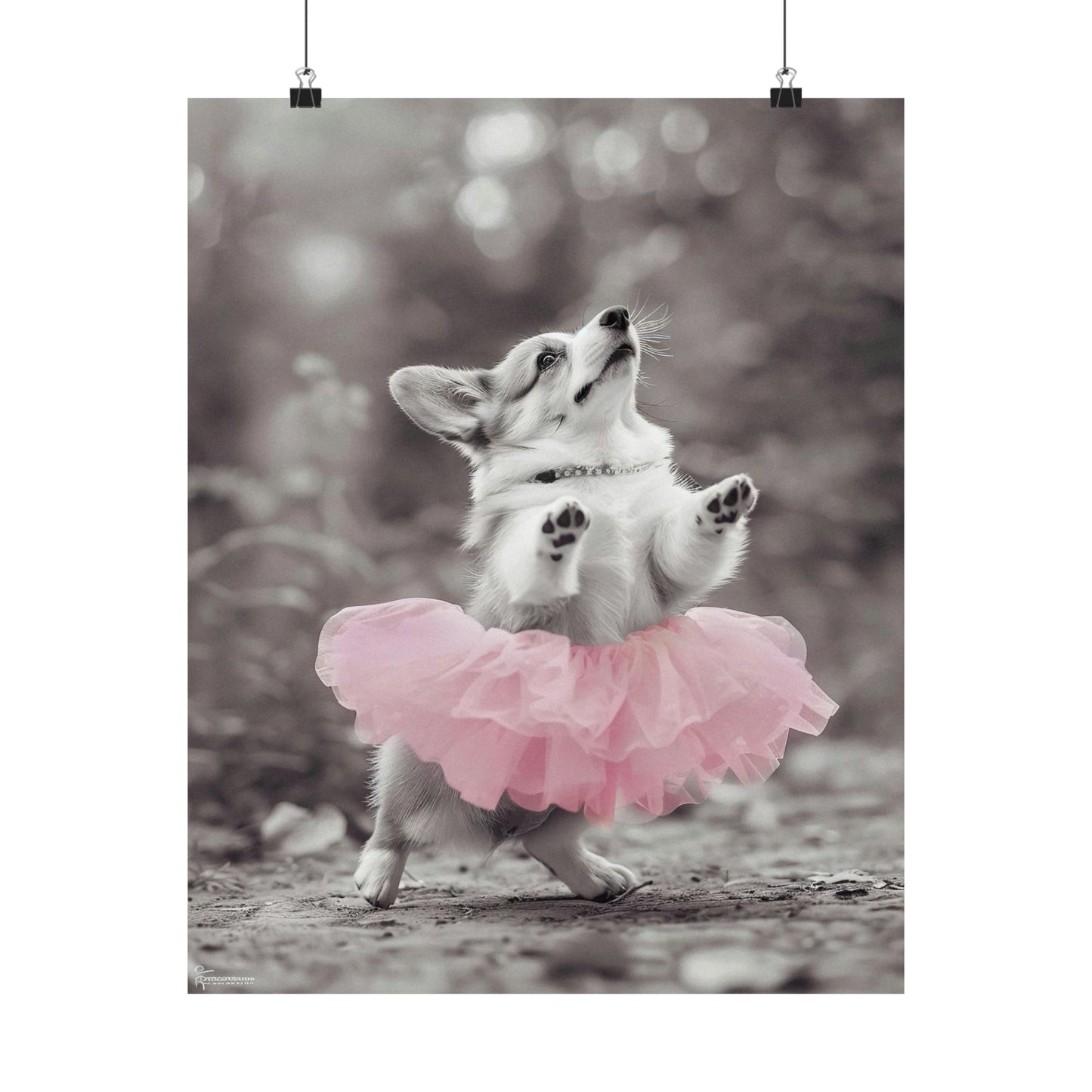 Corgi Tutu, Corgi Wall Art