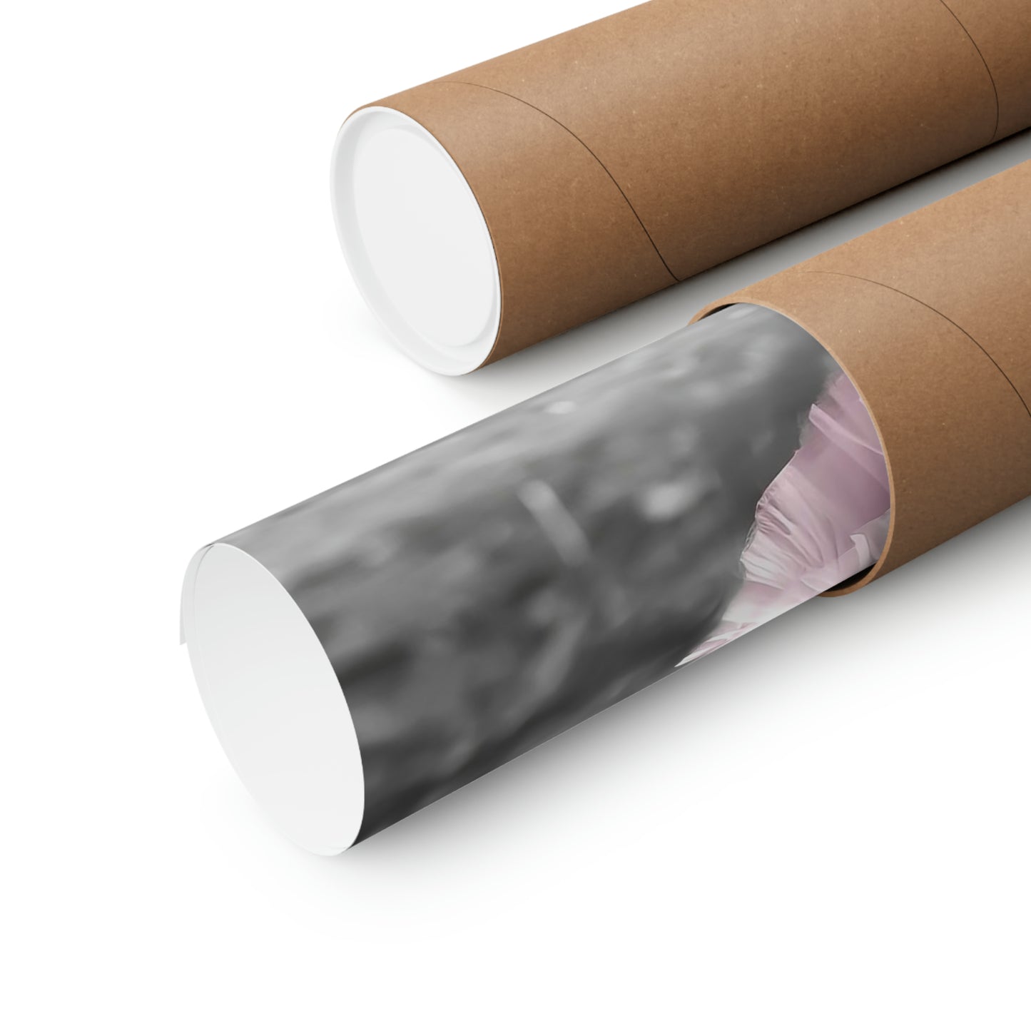 Bear Tutu, Bear Wall Art