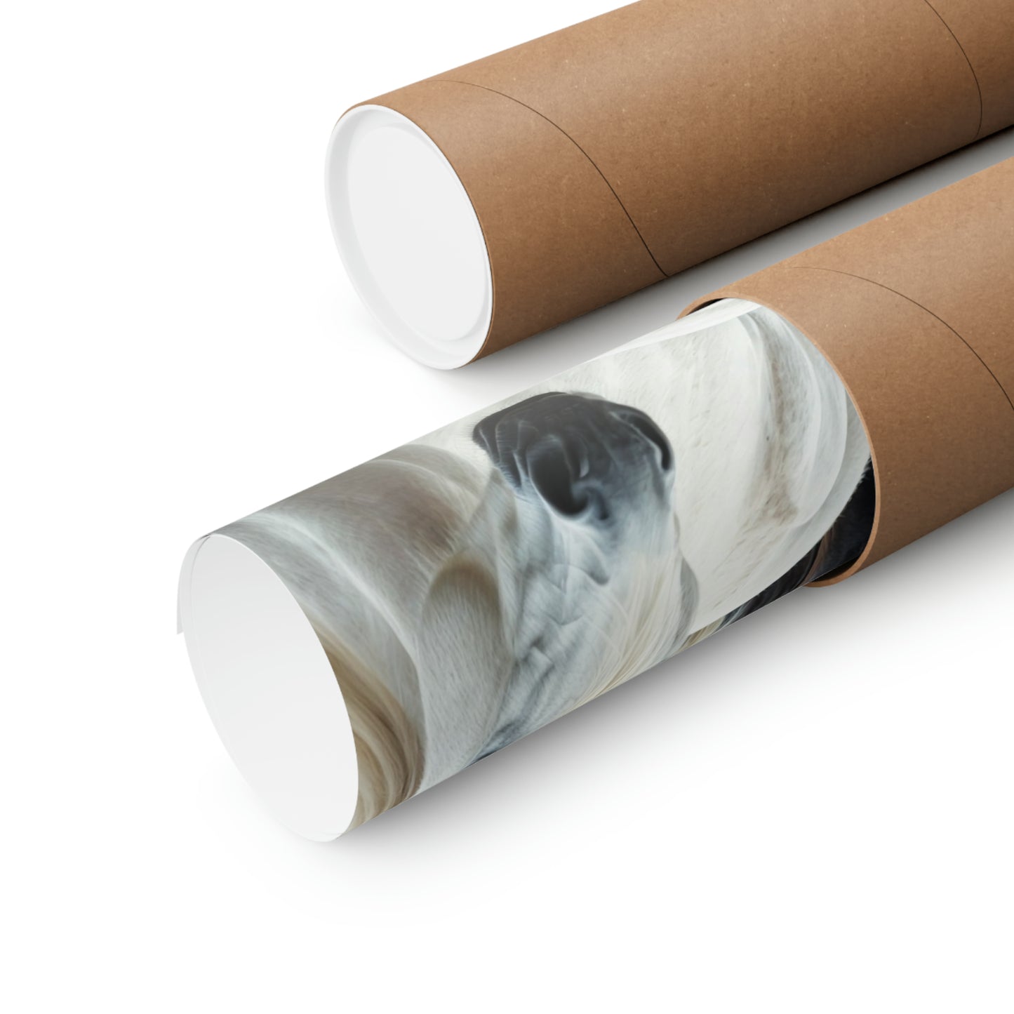 Being Different Black Horse