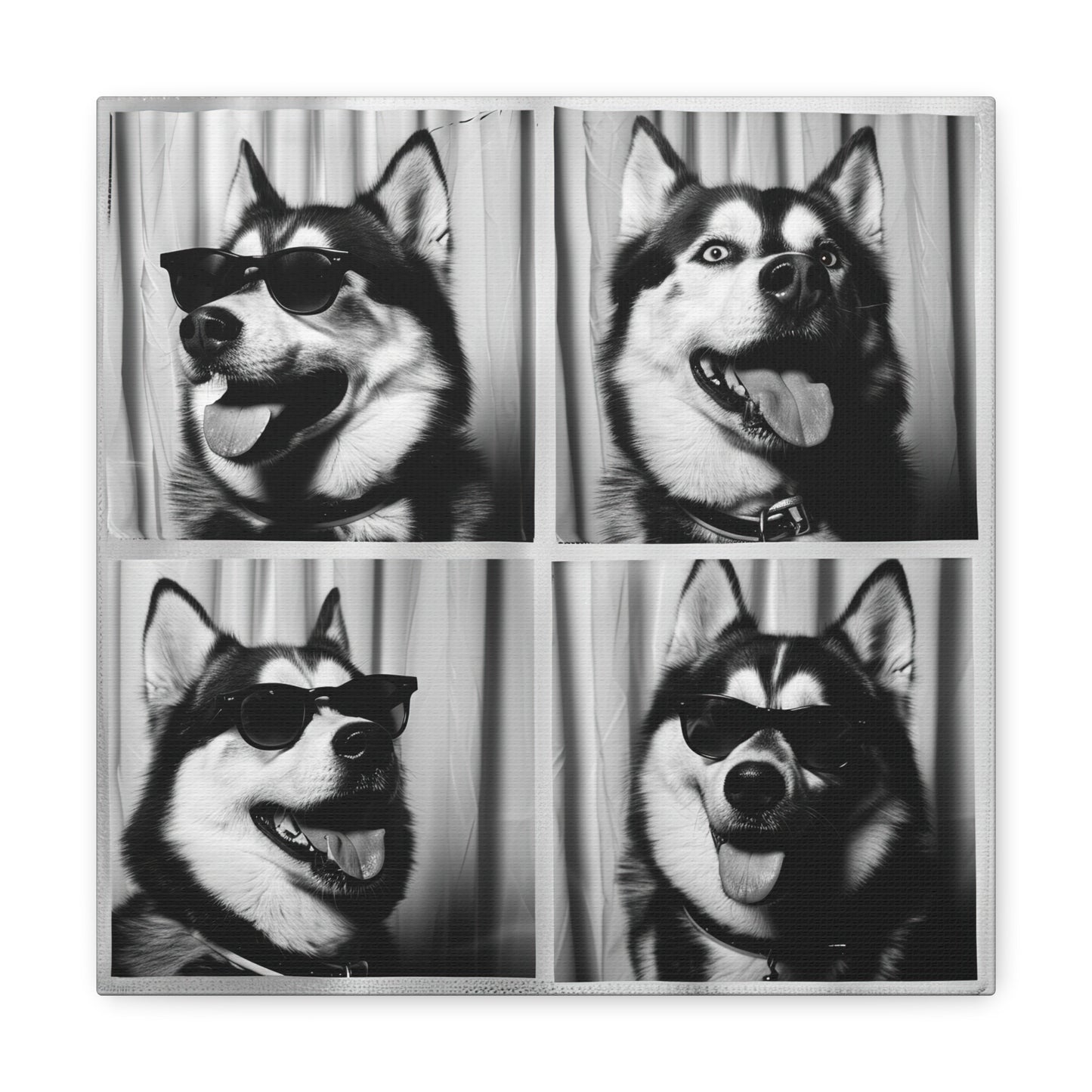 Husky Photo Booth Canvas