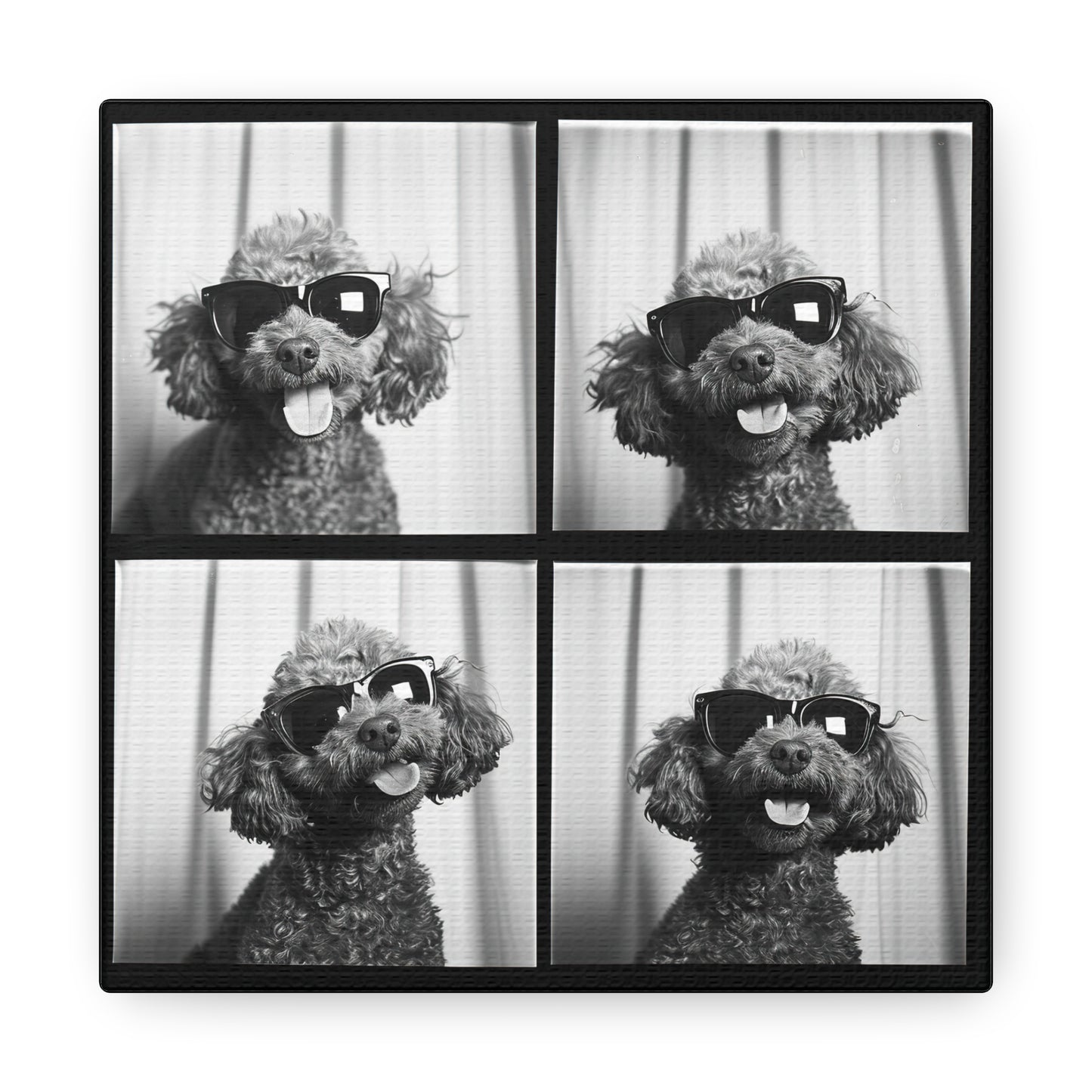 Poodle Photo Booth Canvas