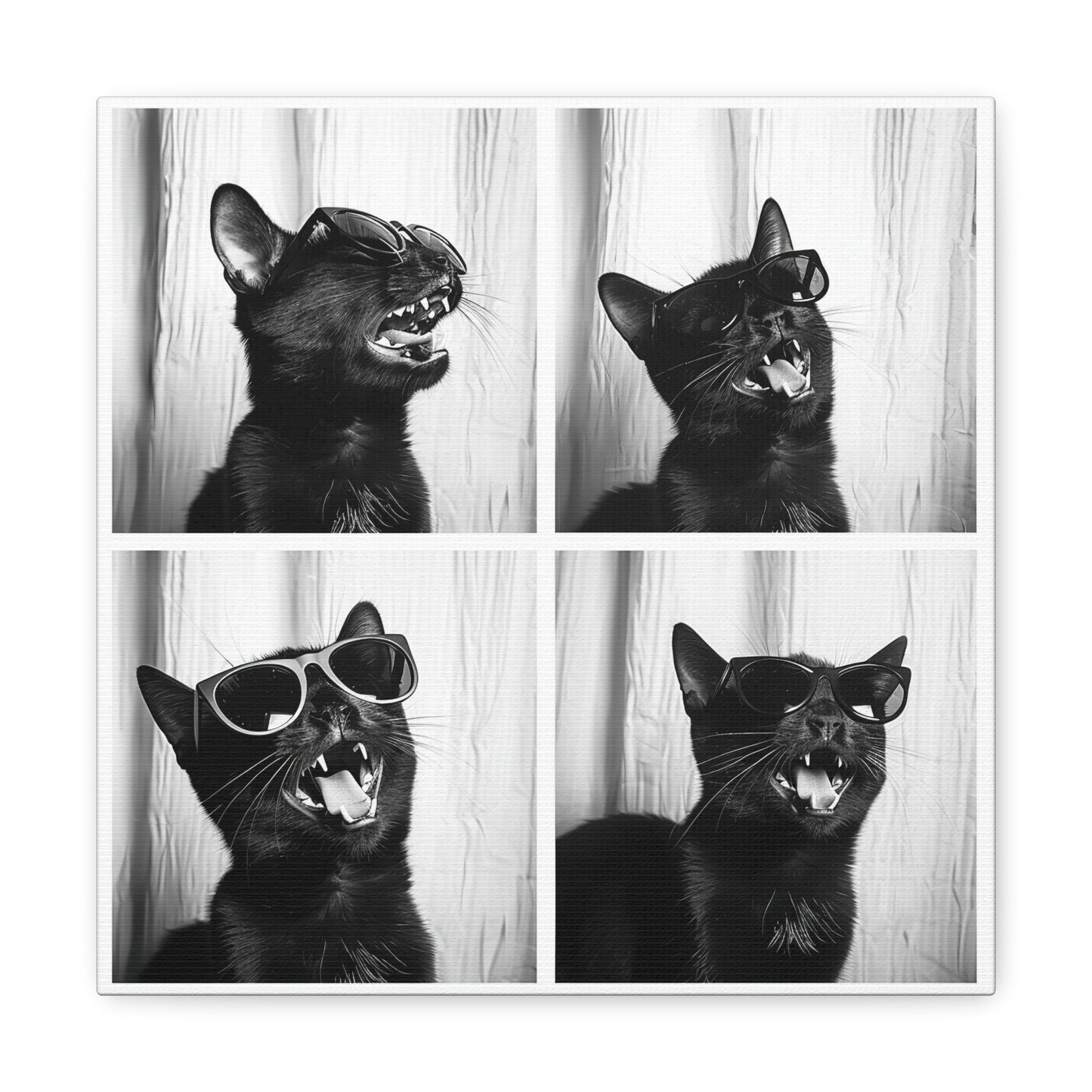 Black Cat Photo Booth Canvas