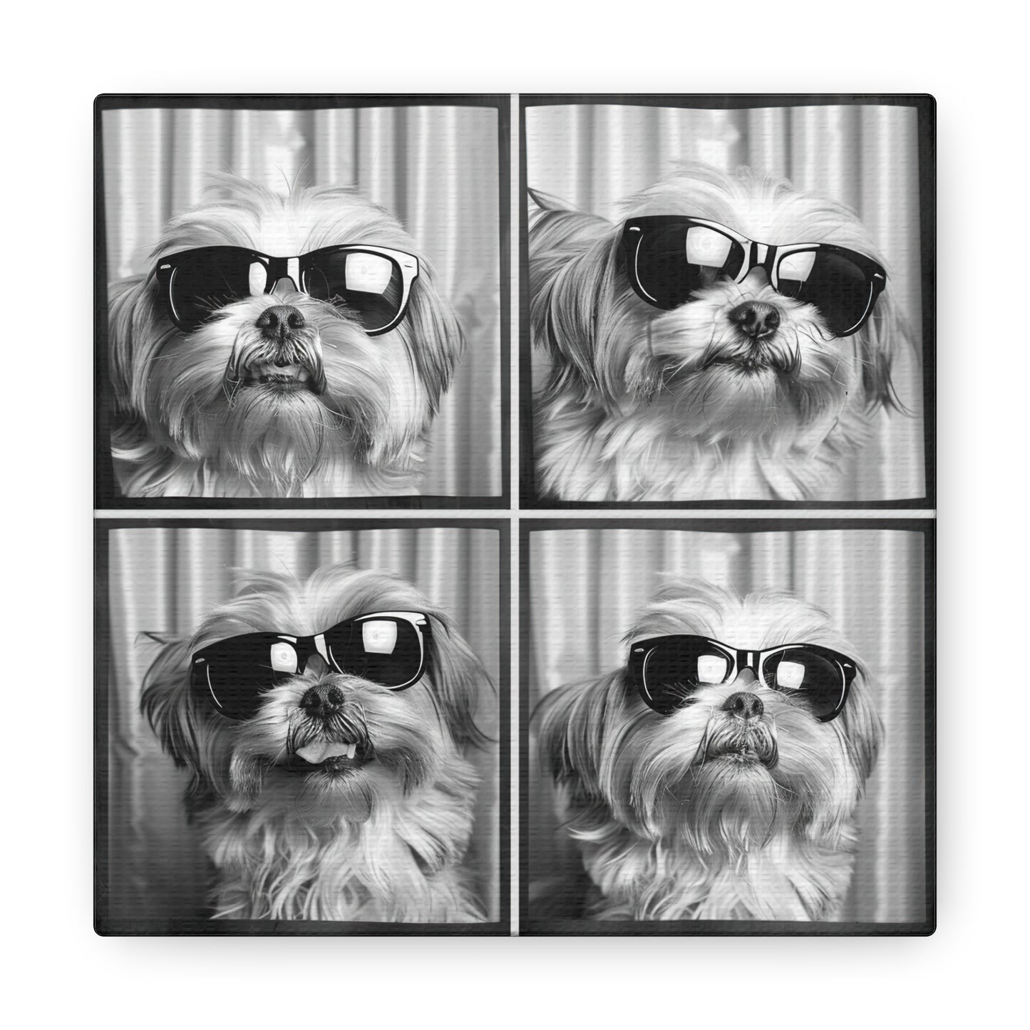 Shih Tzu Photo Booth Canvas