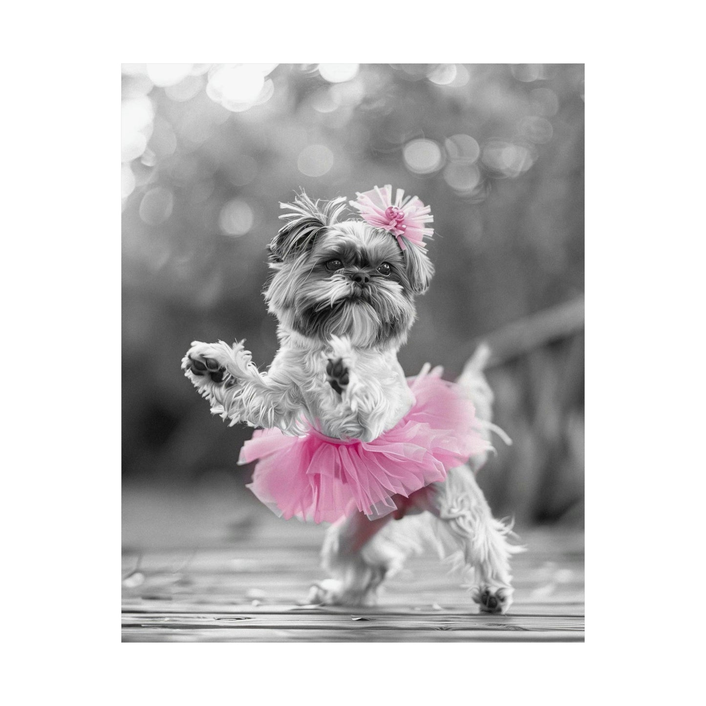 Shih Tzu Tutu, Shih Tzu Wall Art