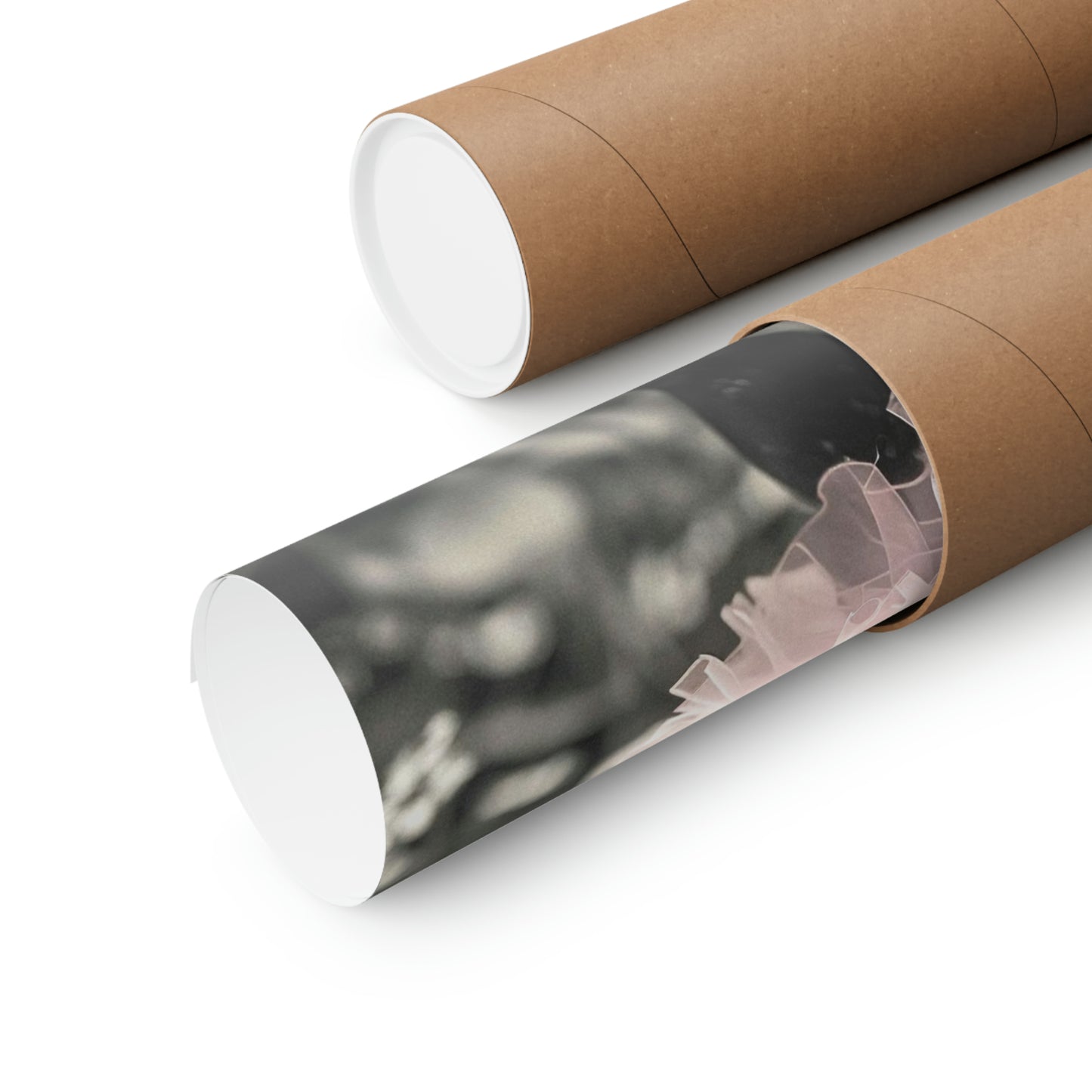 Boston Terrier Tutu, Boston Terrier Wall Art