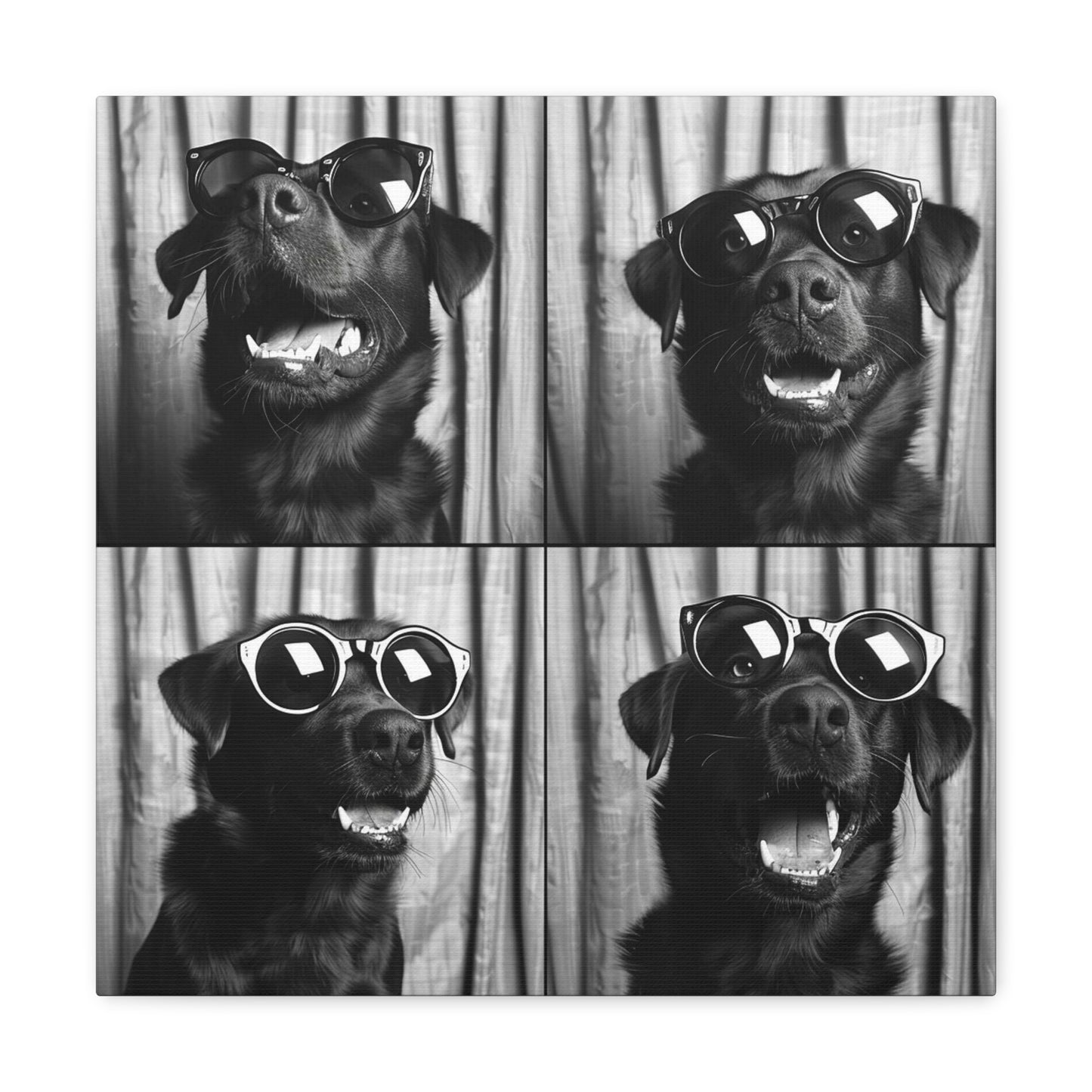 Labrador Retriever Photo Booth Canvas