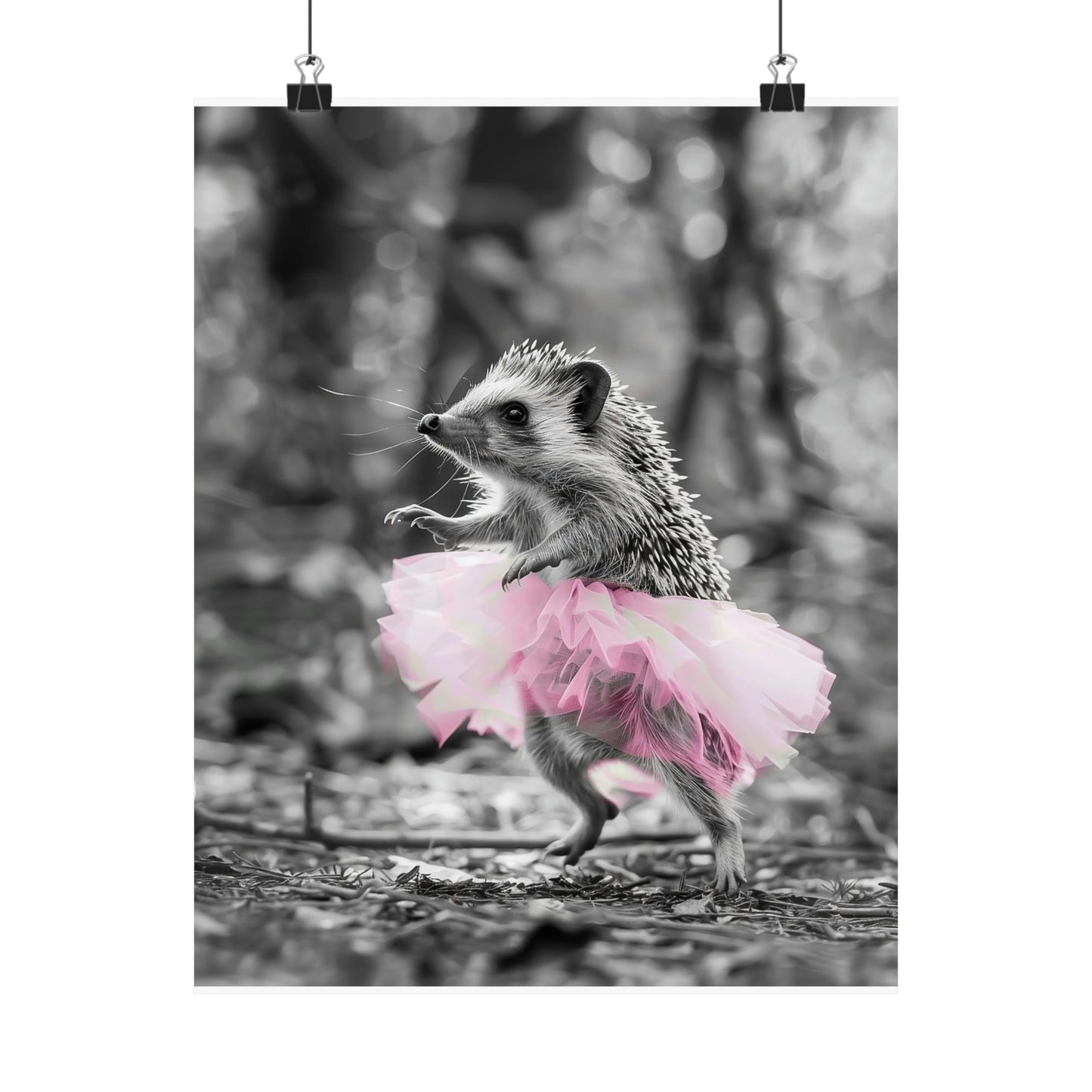 Hedgehock Tutu, Hedgehock Wall Art