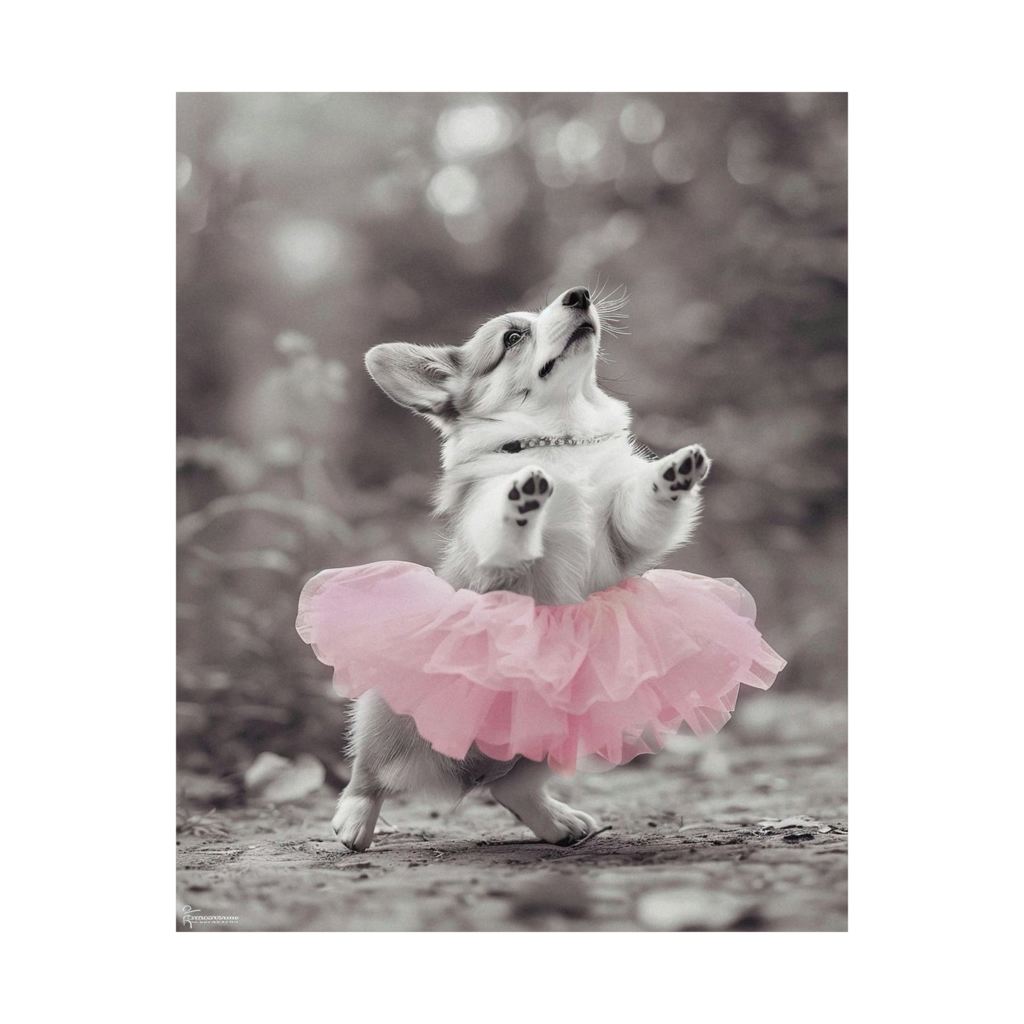 Corgi Tutu, Corgi Wall Art