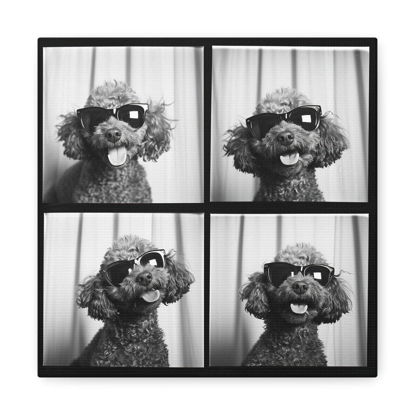 Poodle Photo Booth Canvas