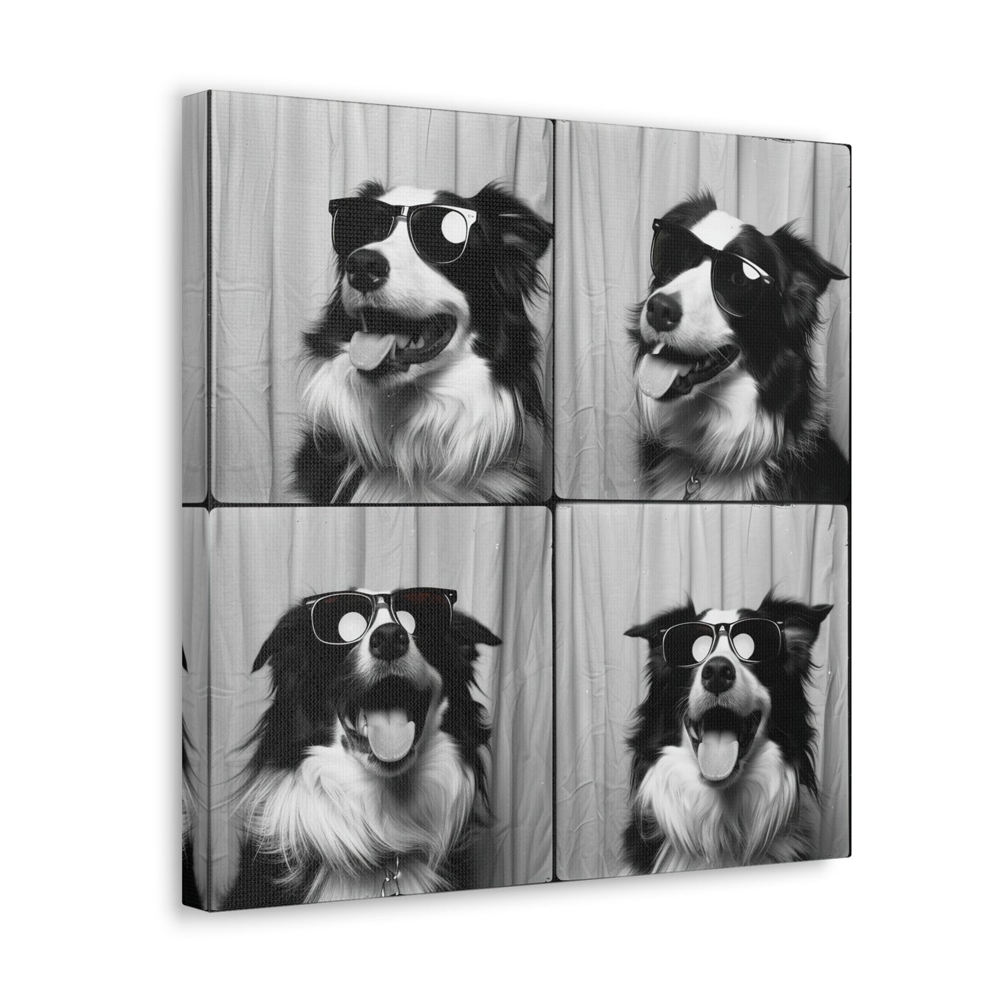 Border Collie Photo Booth Canvas