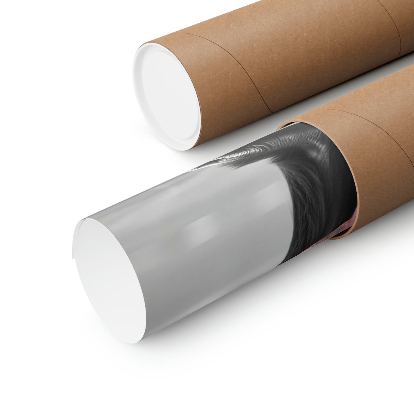 Monkey Tutu, Monkey Wall Art