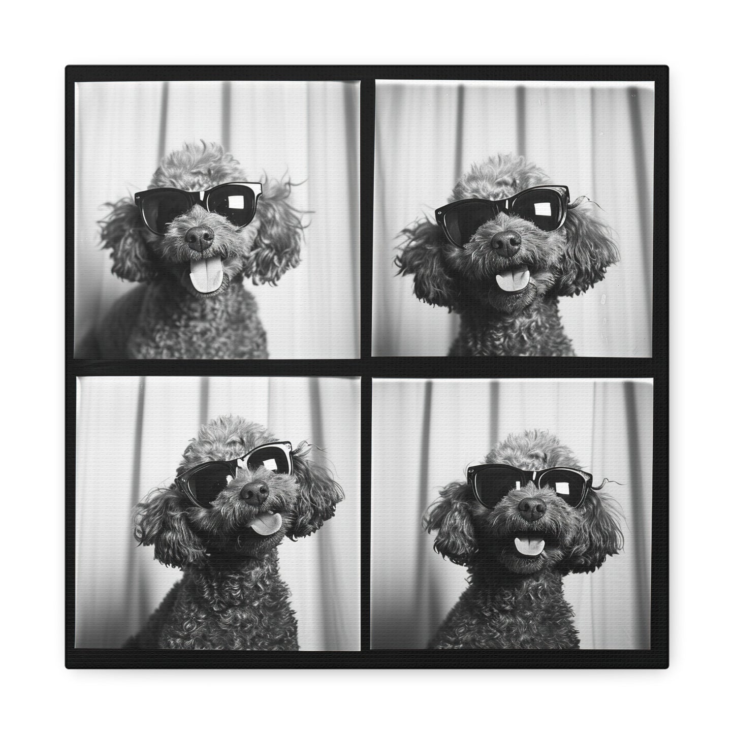 Poodle Photo Booth Canvas