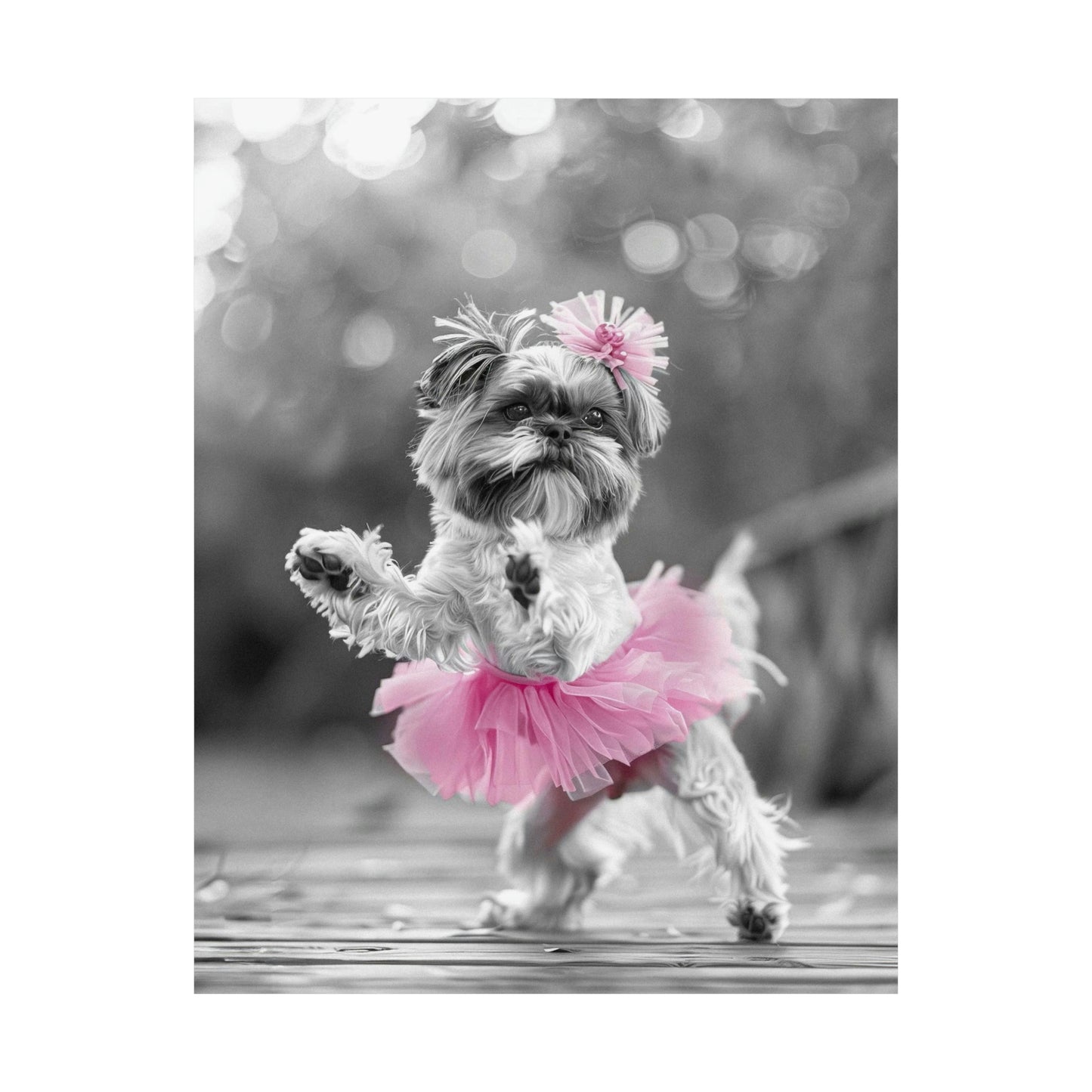 Shih Tzu Tutu, Shih Tzu Wall Art