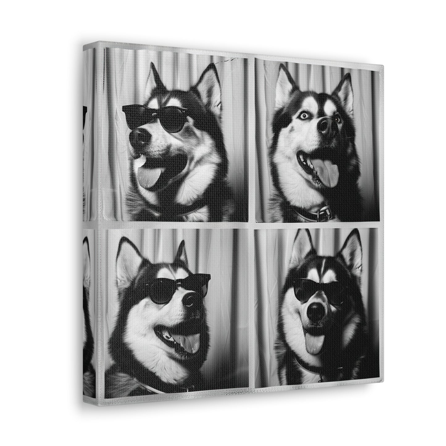 Husky Photo Booth Canvas
