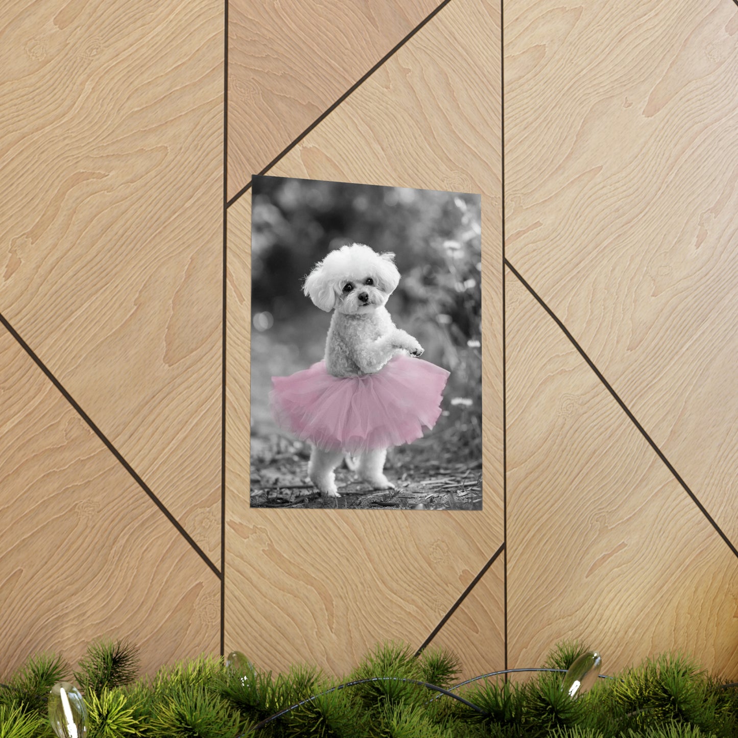 Bichon Frise Tutu, Bichon Frise Wall Art