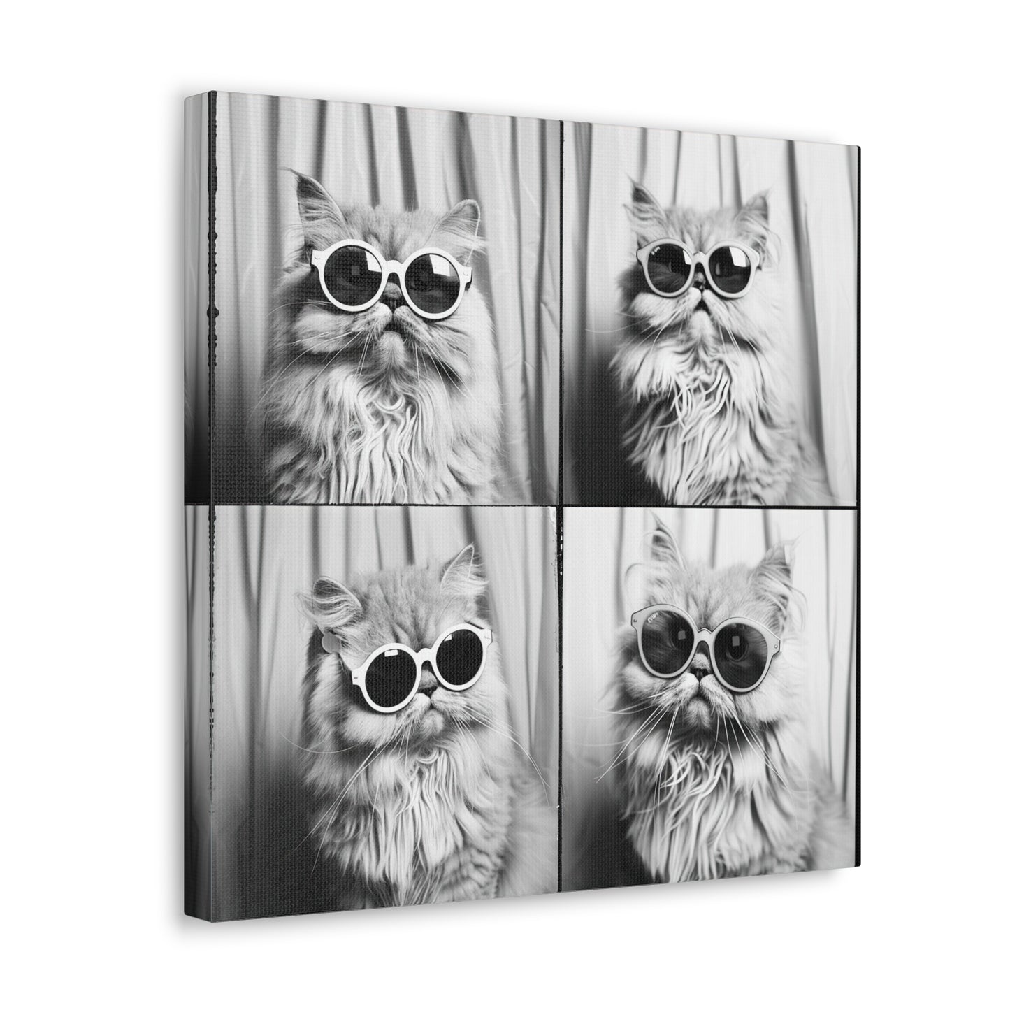 Persian Cat Photo Booth Canvas