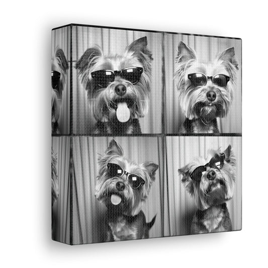 Yorkie Terrier Photo Booth Canvas