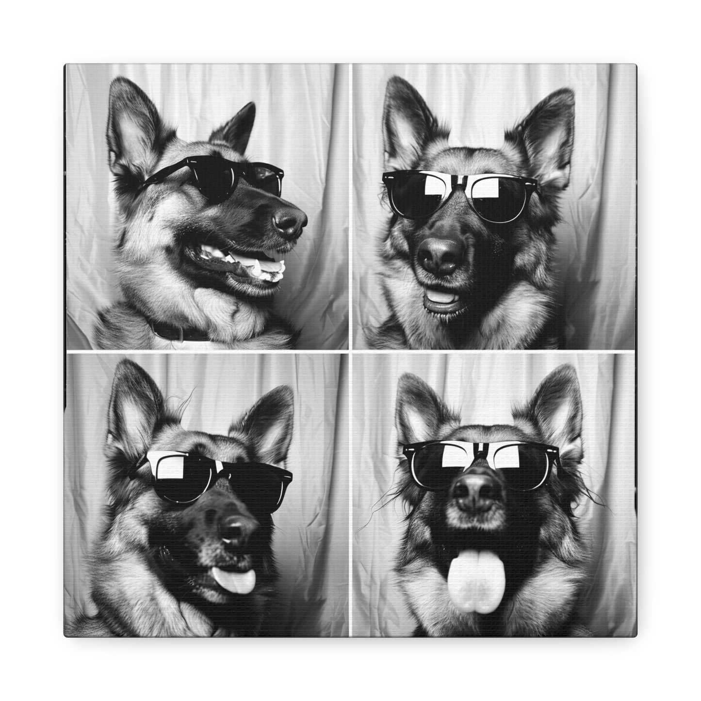 German Shephard Photo Booth Canvas
